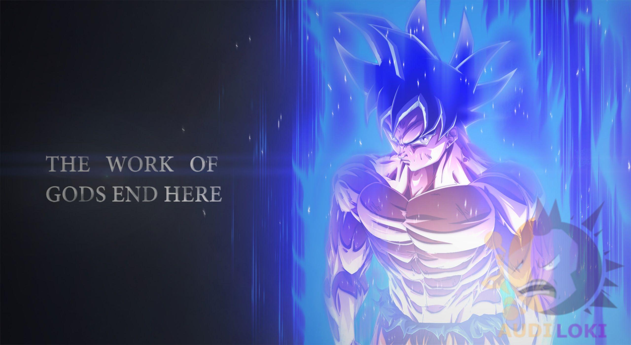 2560x1400 Dragon Ball Super HD Wallpaper