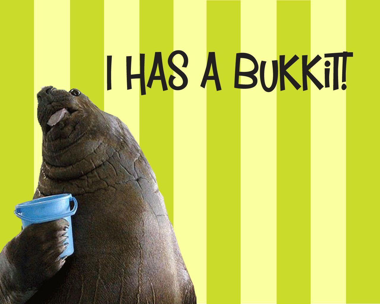 1280x1024 Free download walrus wallpaper [1280x1024] for your Desktop