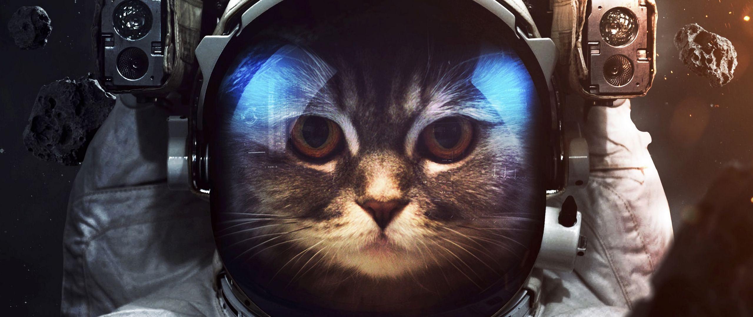 2560x1080 Download wallpaper 2560x1080 cat, cosmonaut, space suit, space