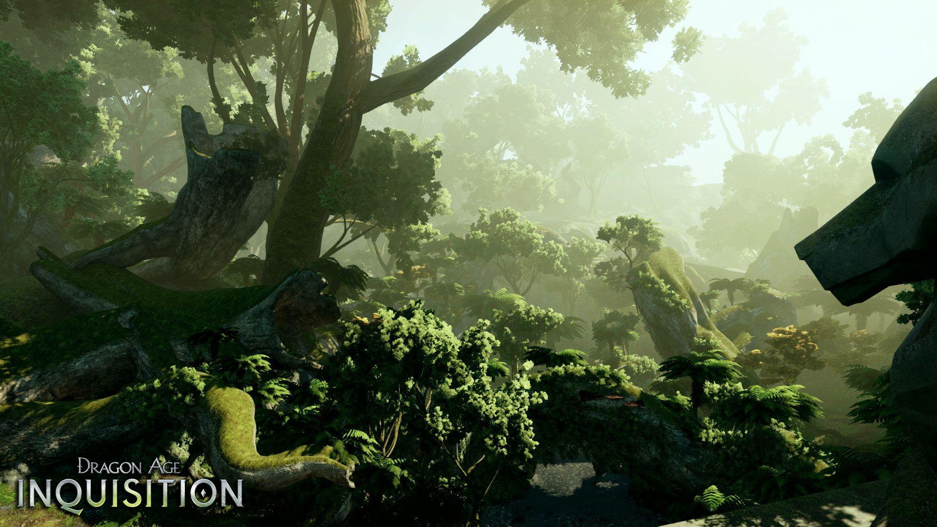 1920x1080 Dragon Age Inquisition Wallpaper 46389 1920x1080px