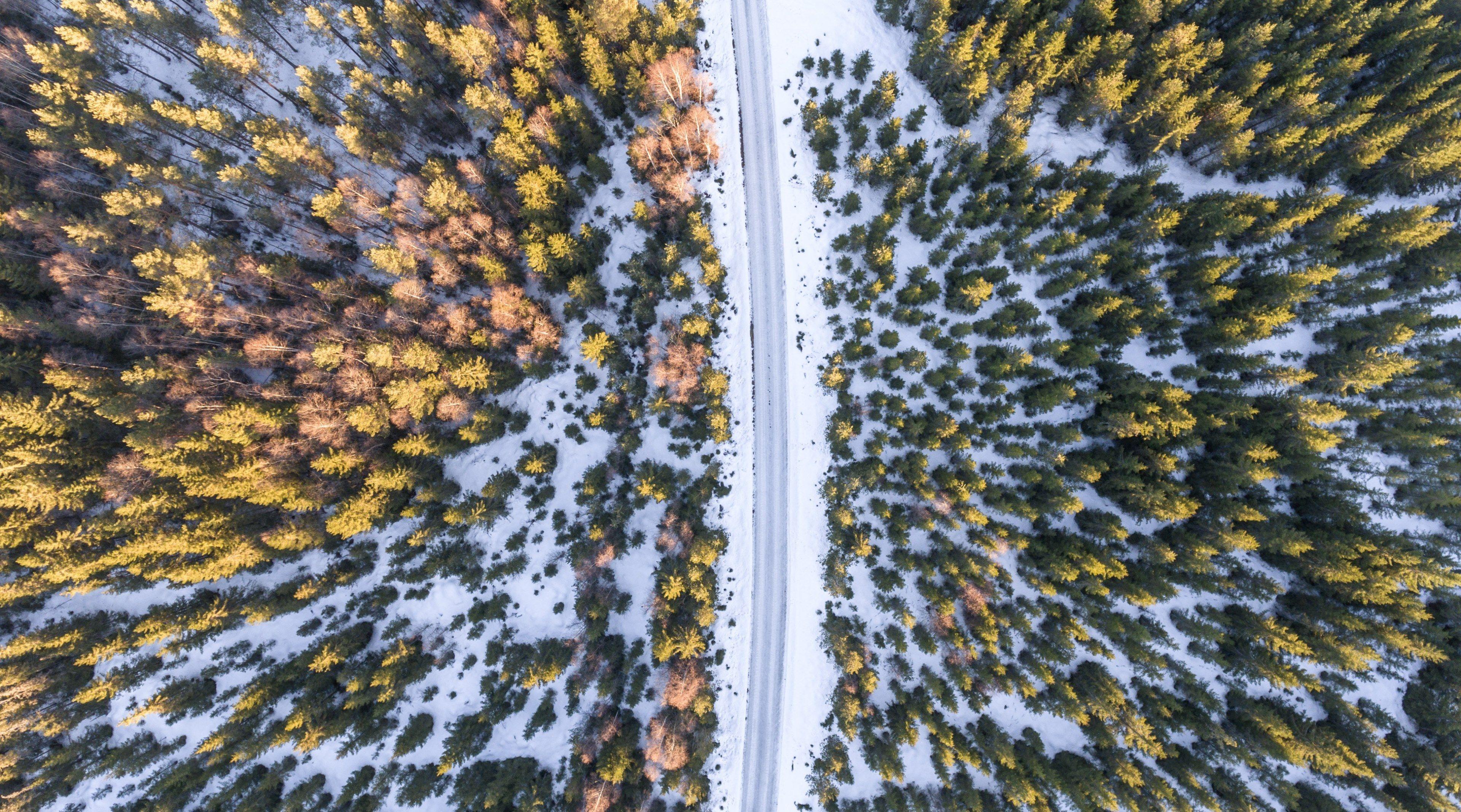 3840x2134 a drone shot of a snow covered road through a forest
