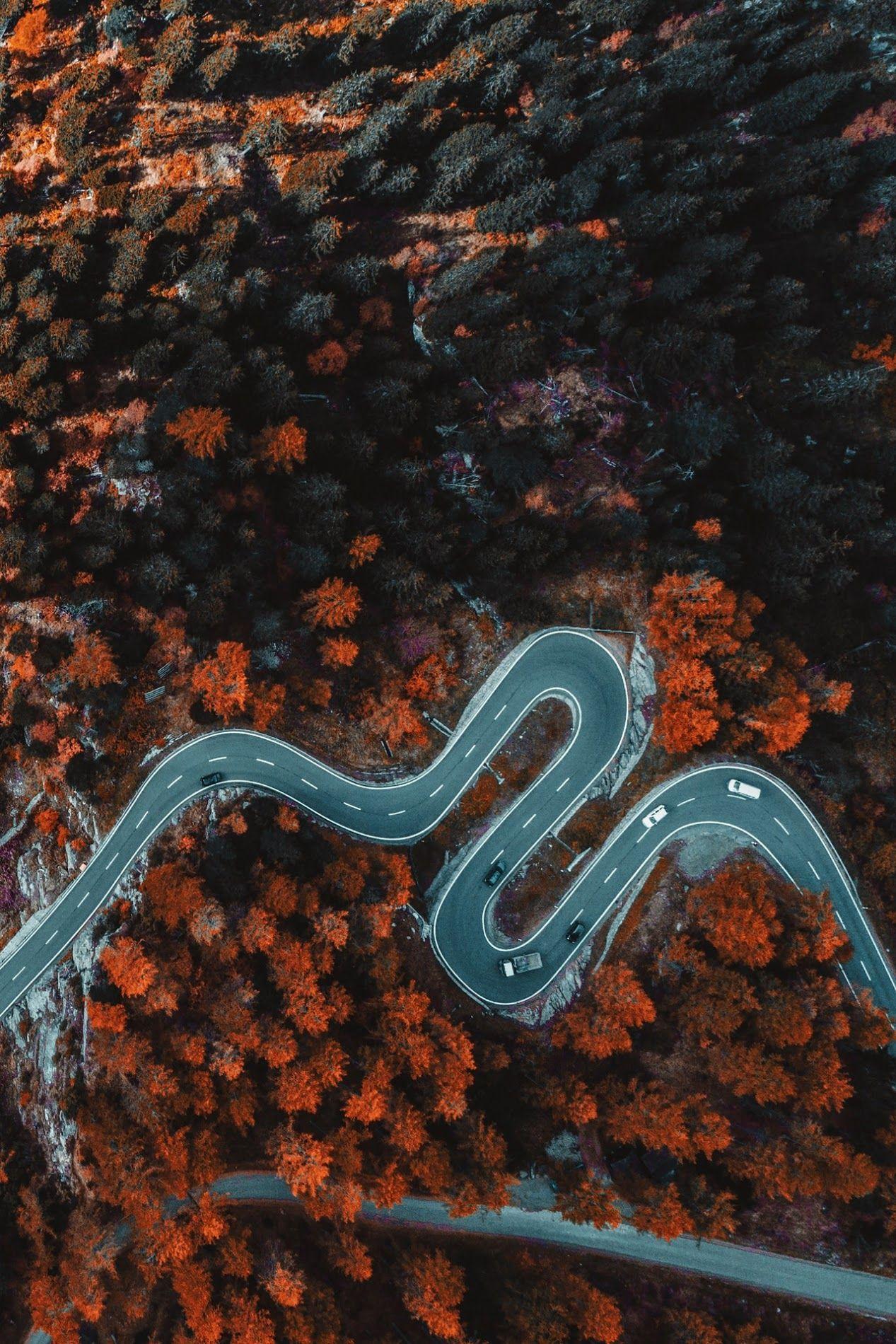 1267x1900 Forrest road drone shot. Mobile Wallpaper Mobile Walls