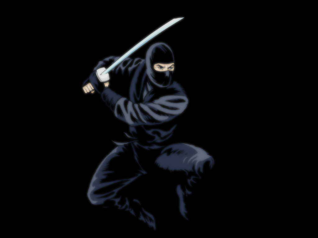 1024x768 Cool Ninja Wallpaper