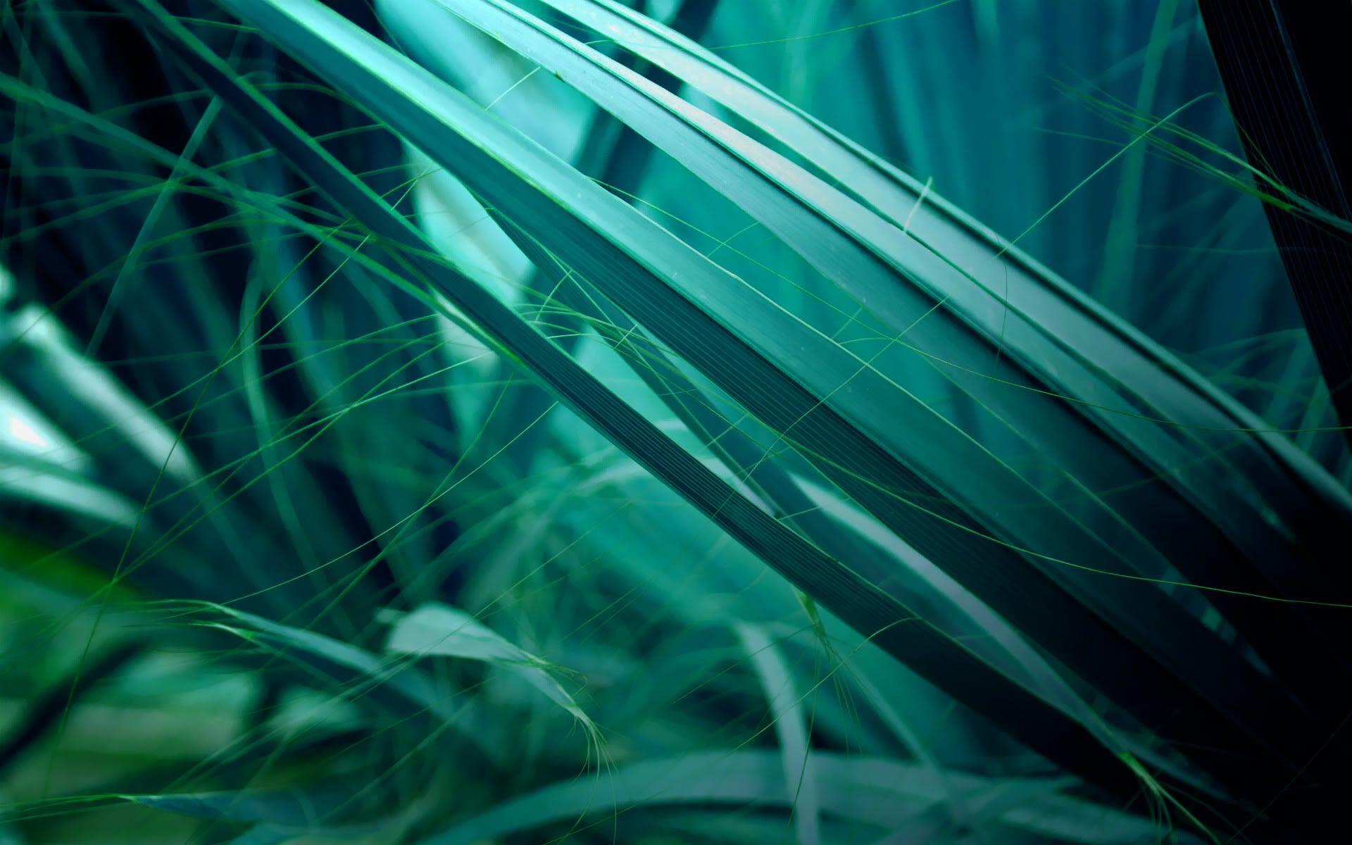 1920x1200 Free download wallpaper ubuntu cosmos screensaver micro wallpaper