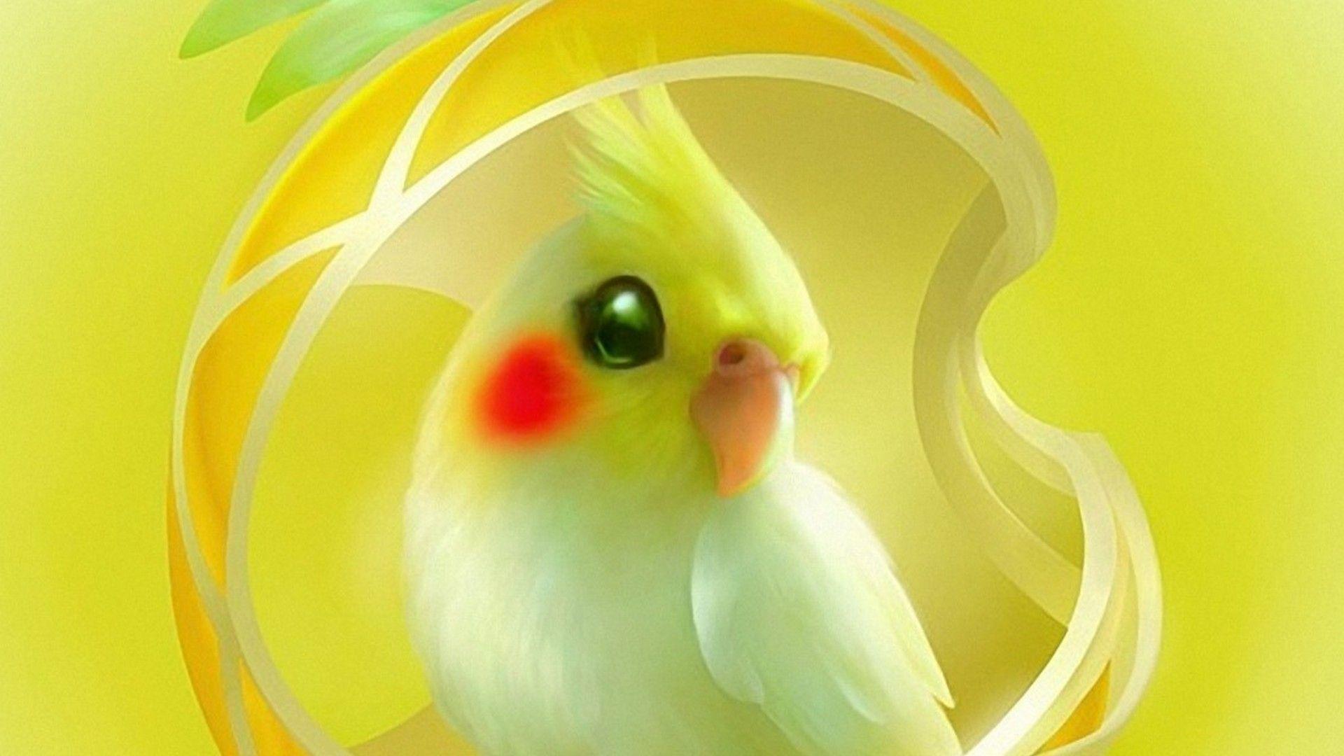 1920x1080 Computer Wallpaper Yellow Colour Cute Wallpaper