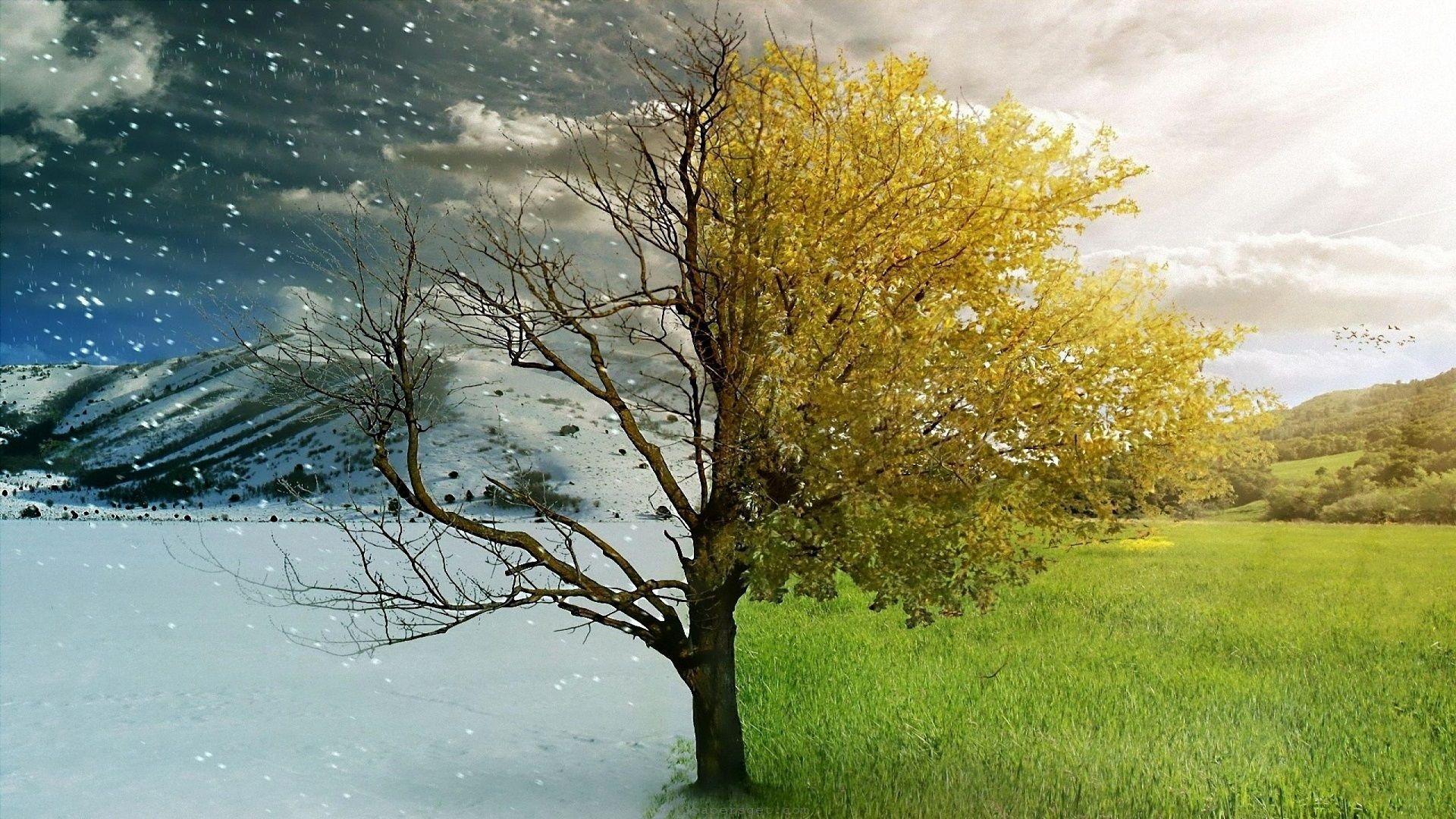 Half And Half Wallpapers Top Free Half And Half Backgrounds