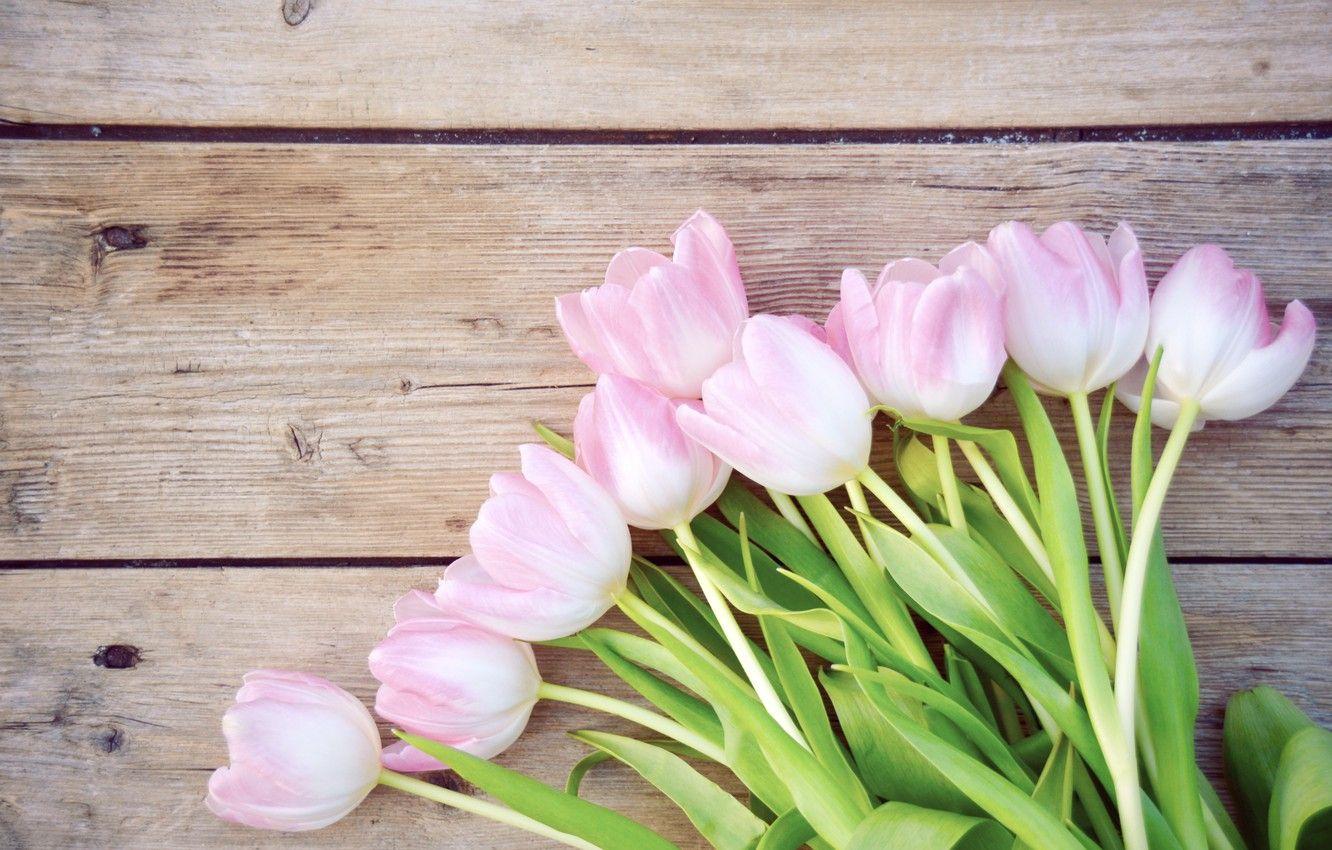 1332x850 Wallpaper flowers, bouquet, tulips, wood, pink, romantic, tulips