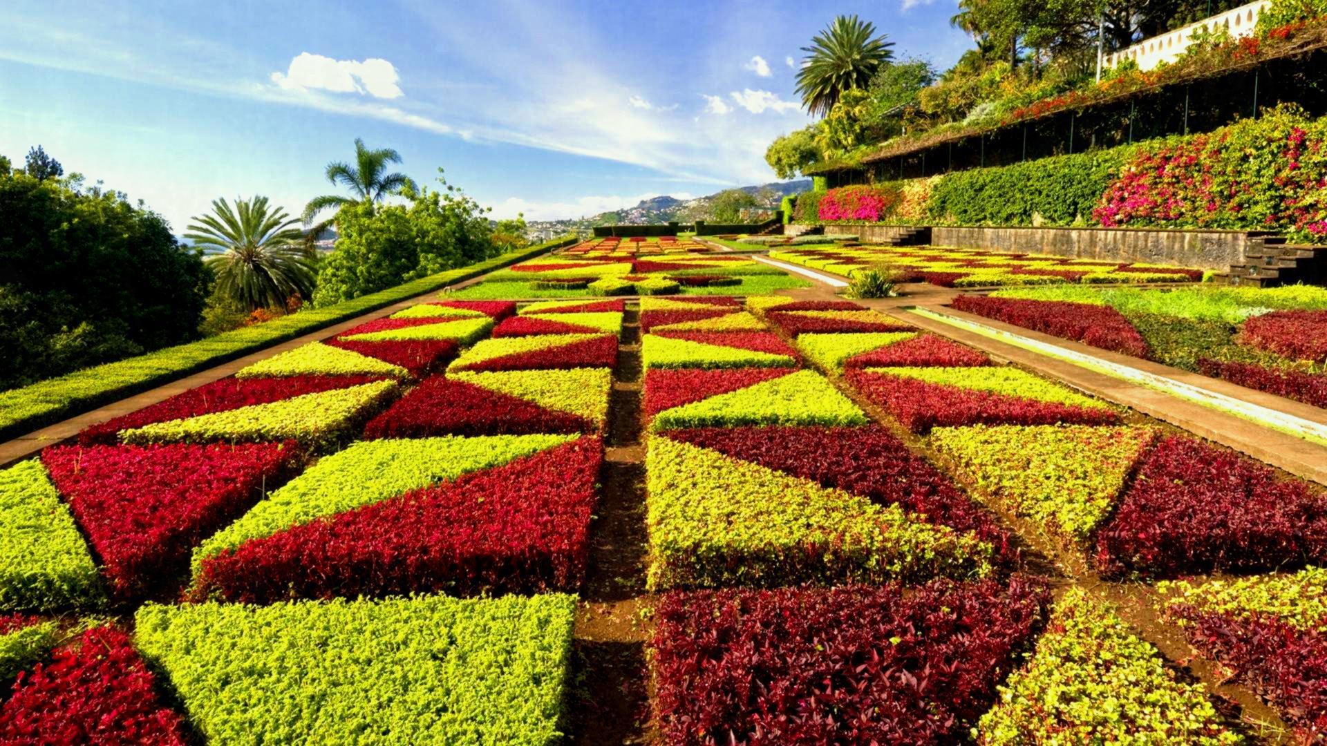 1920x1080 Beautiful Wallpaper Of Flower Gardens Wallpaper