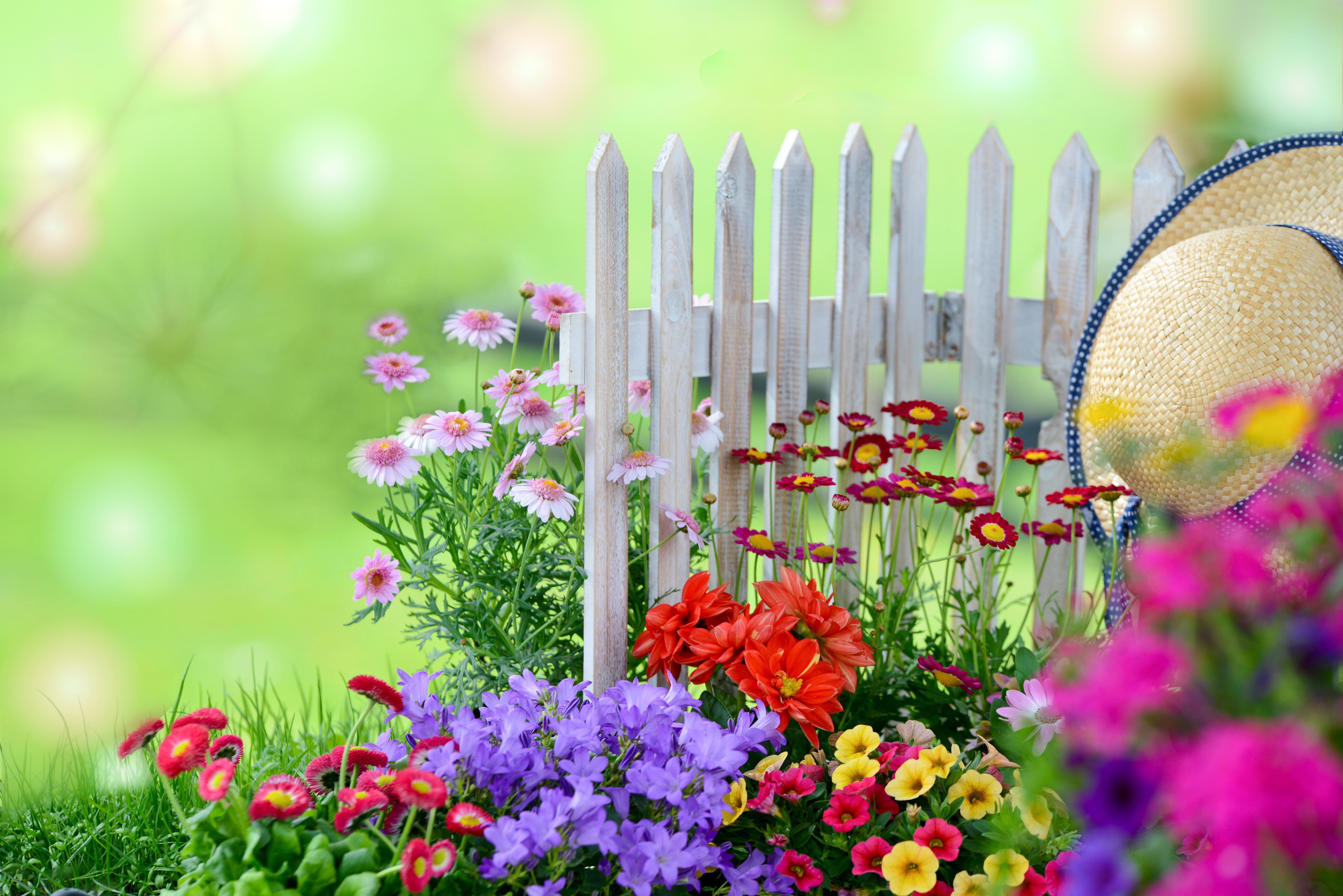 7360x4912 Flower Garden HD Photo Enid Drover