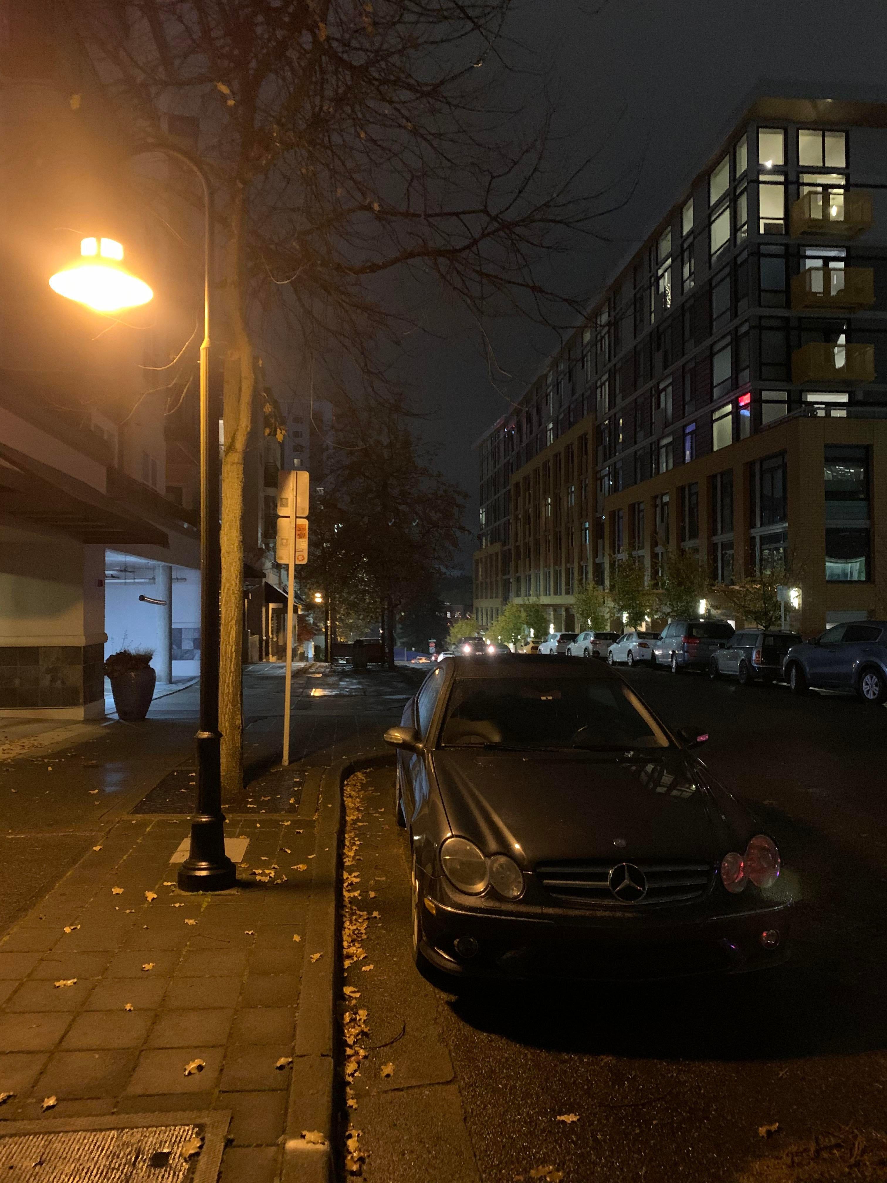 3024x4032 Bellevue, Washington, USA. Taken on iPhone XS Max, no editing