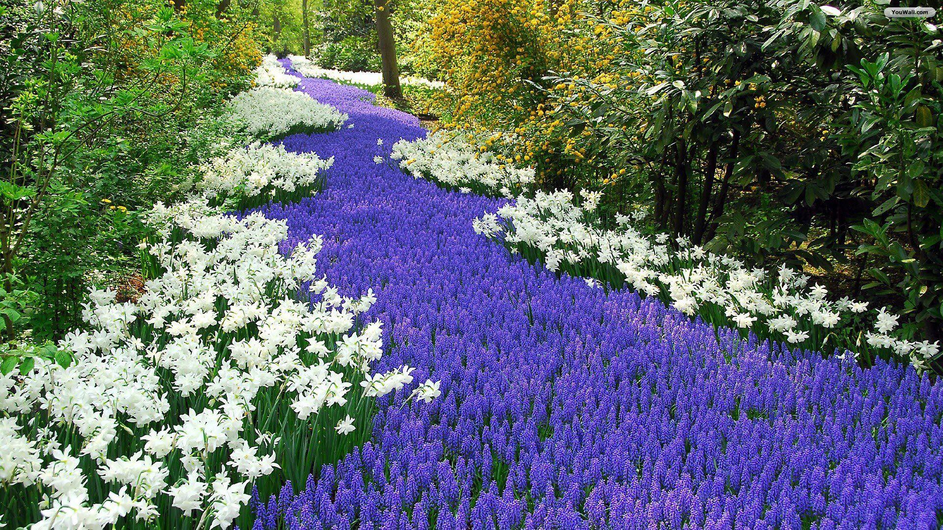 1920x1080 Spring Garden Wallpaper