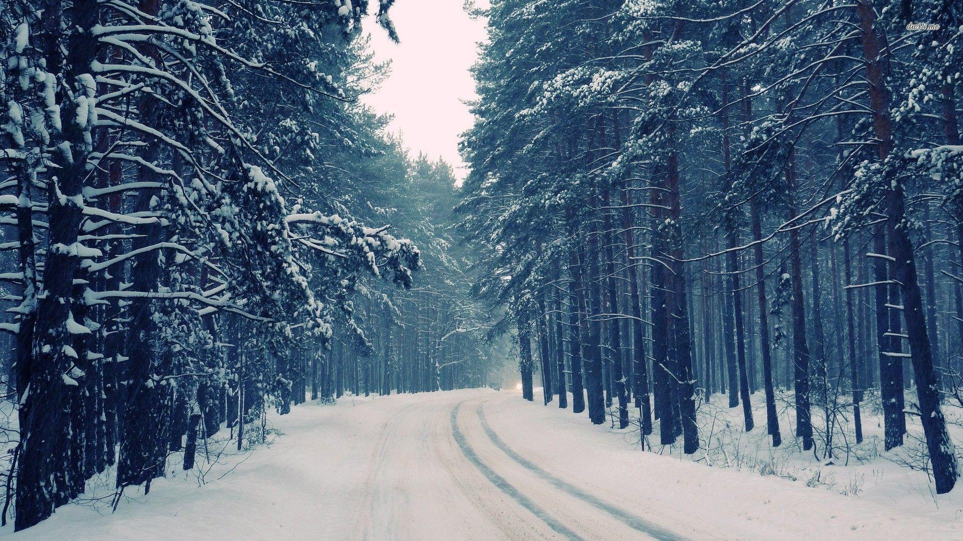 1920x1080 Snowy Forest Desktop Wallpaper