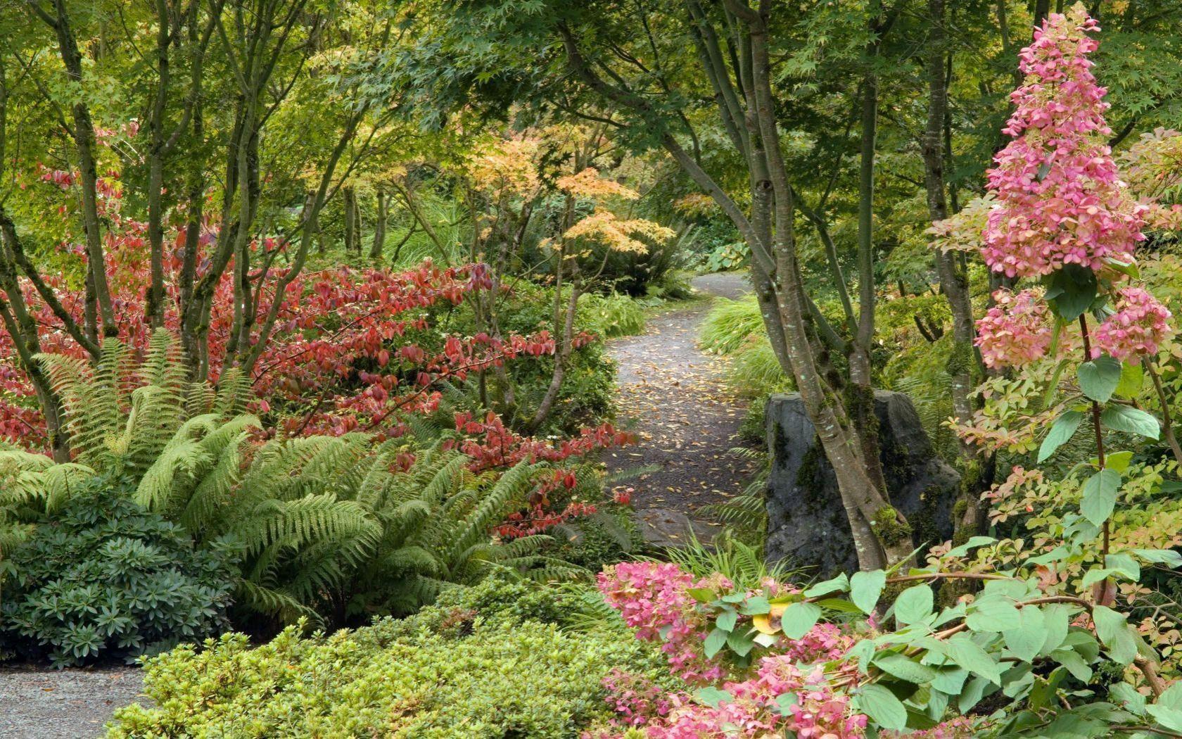 1680x1050 Nature: Bellevue Botanical Garden, Washington, picture nr. 33583