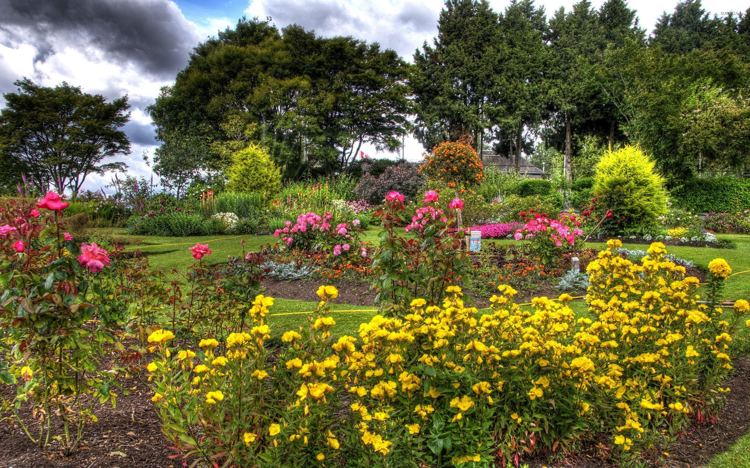 2560x1600 Beautiful flowers in the garden wallpaper wallpaper