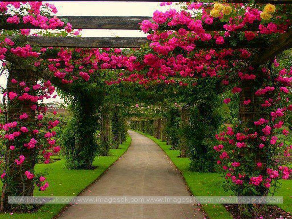 Beautiful Flower Garden Wallpapers Top Free Beautiful Flower Garden Backgrounds WallpaperAccess