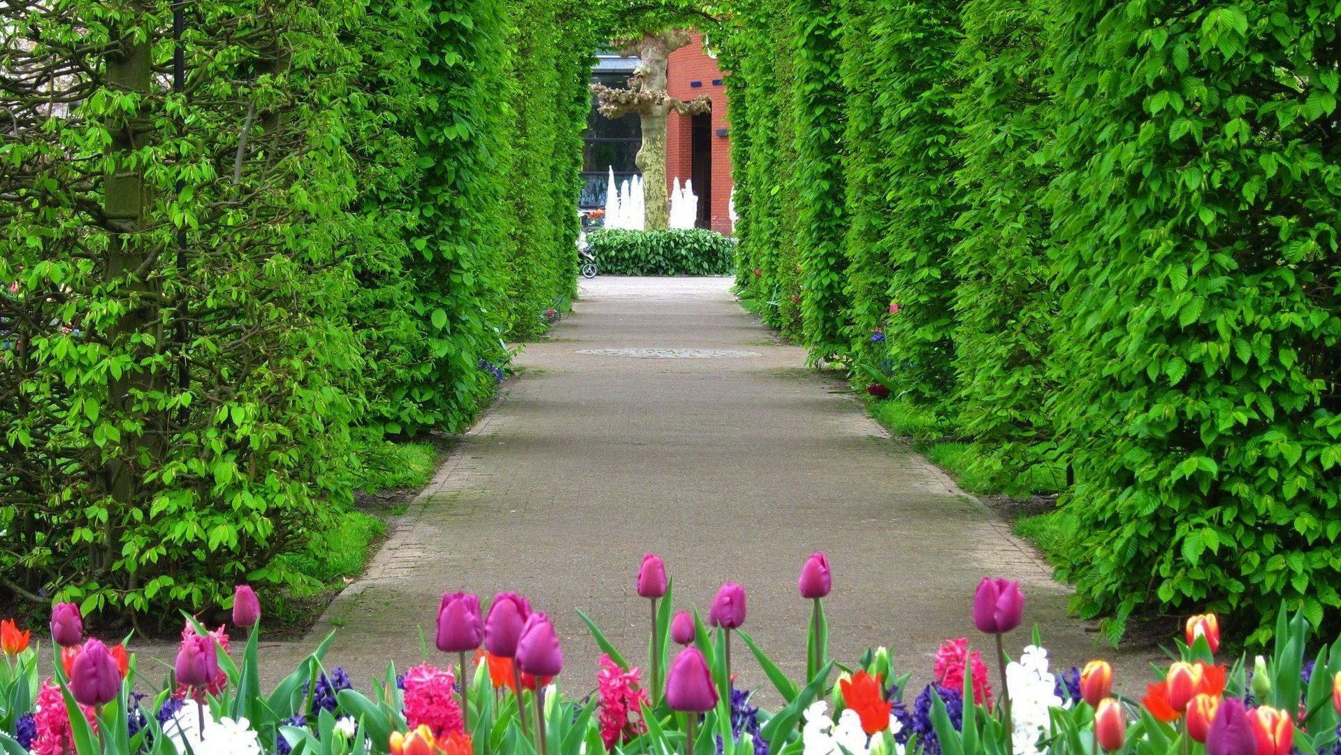 1919x1080 Beautiful Flowers Garden HD Wallpaper, Picture