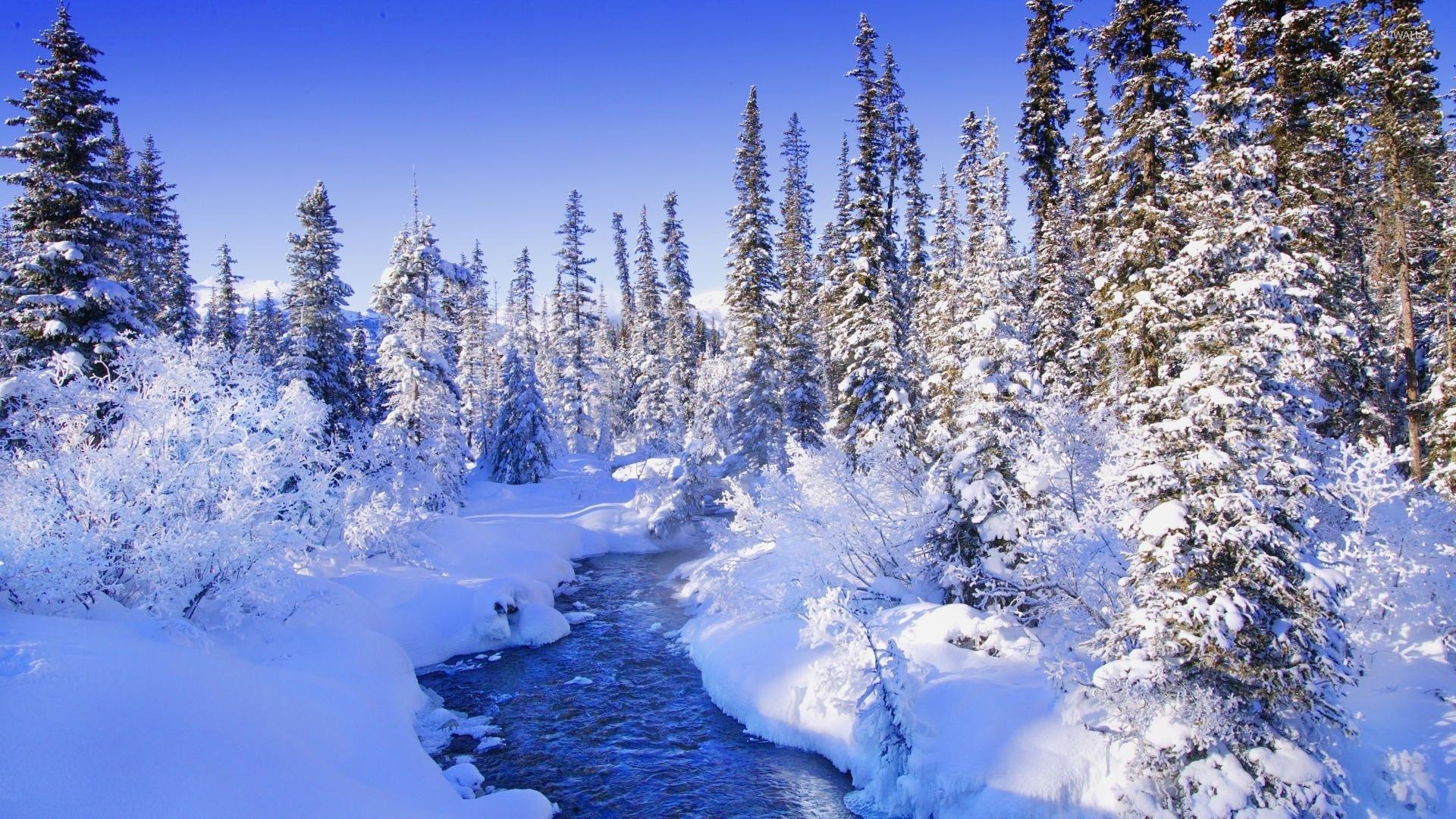 1920x1080 Steamy river by the snowy forest hình nền - Hình nền thiên nhiên https://wallpaperaccess.com/full/298369.jpg