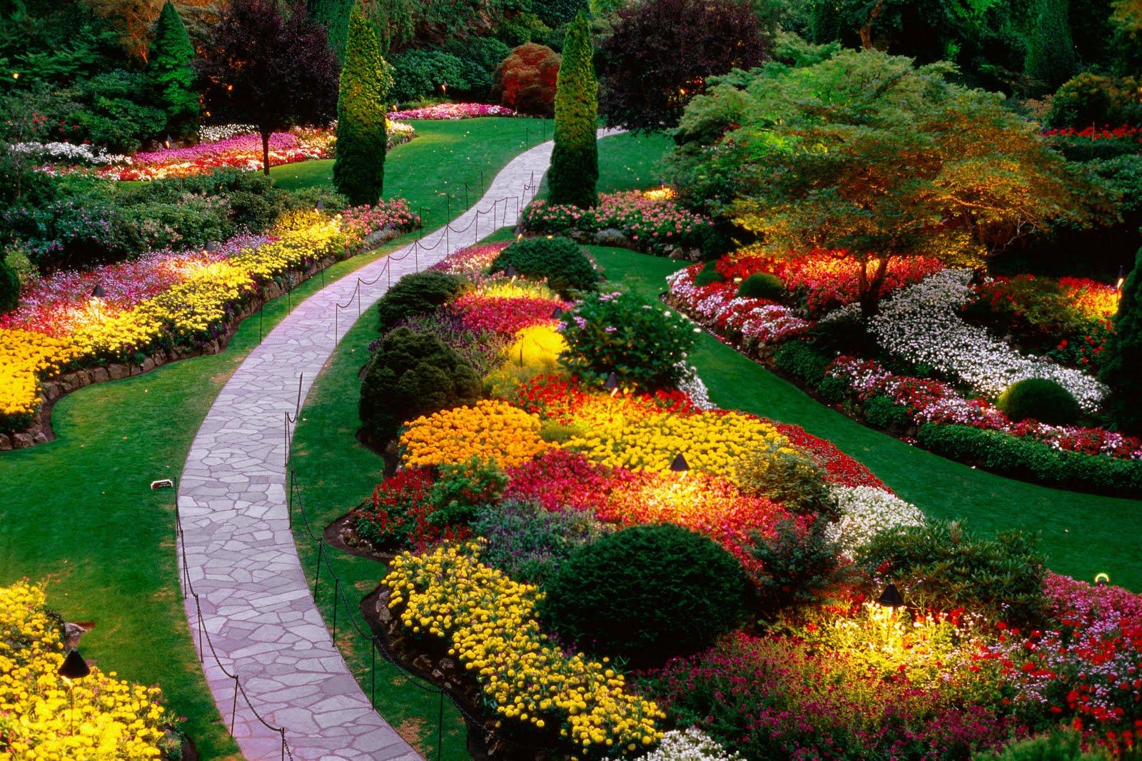 1600x1066 Cool Wallpaper: Beautiful flower garden, flower forest cool