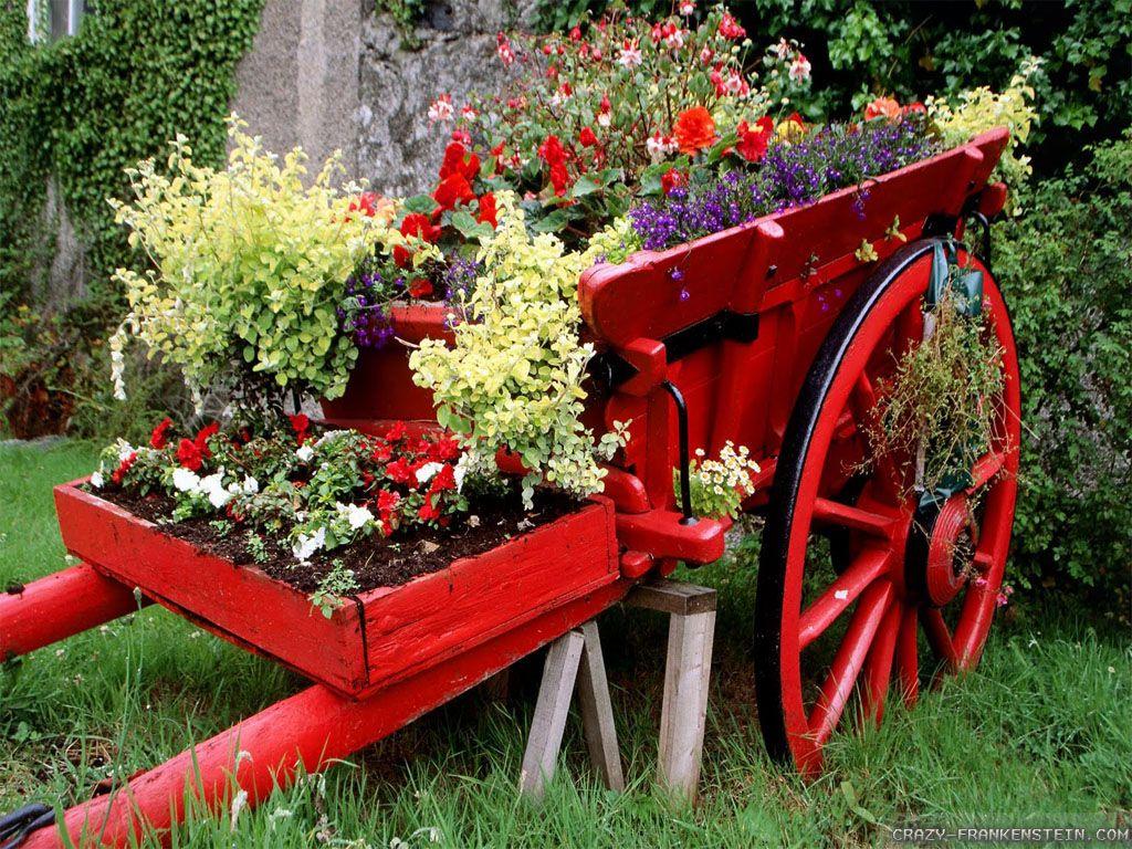 1024x768 Carriage Beautiful Flower Garden Wallpaper Rose