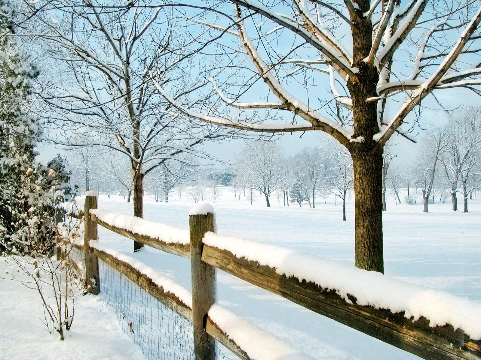 1600x1200 Winter Scenes Wallpaper