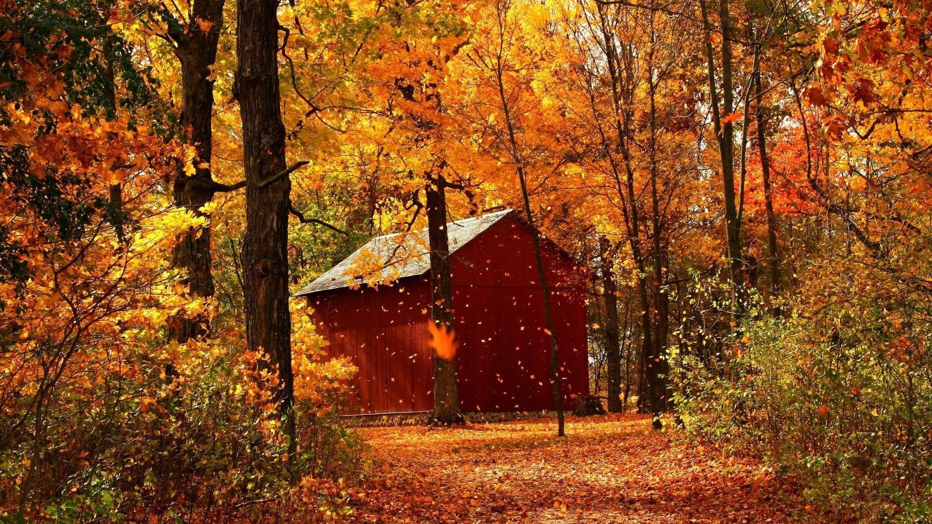1920x1080 Wallpaper Of Fall