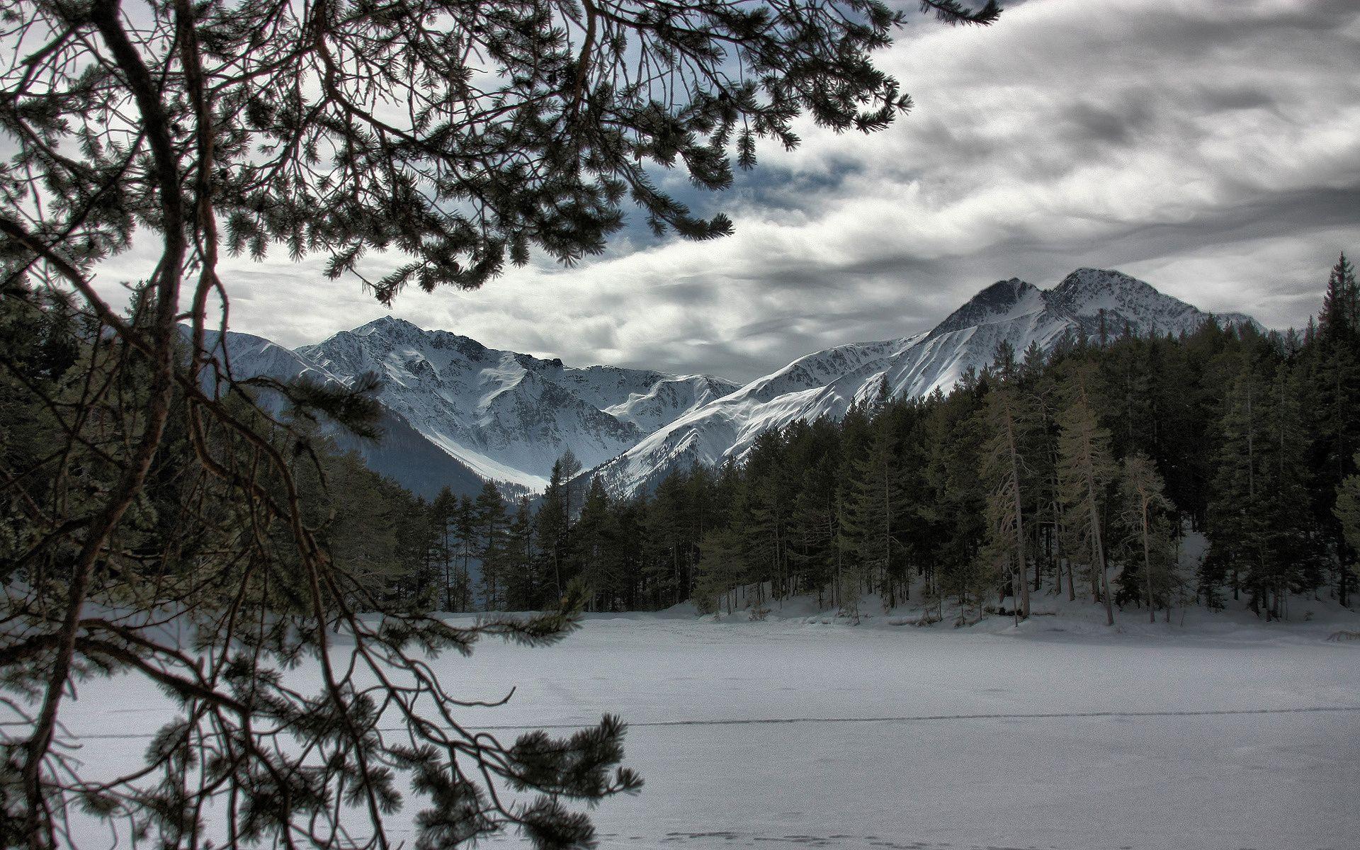 1920x1200 Wallpaper winter, snow, tree, mountains, forest desktop wallpaper