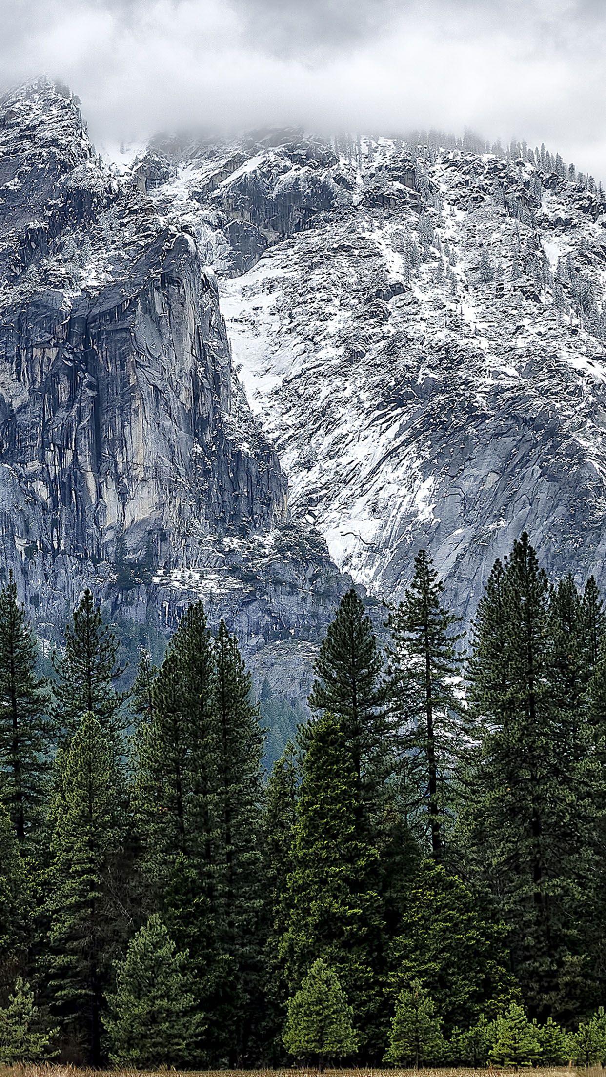 Tải xuống miễn phí Hình nền núi Yosemite Mountain Snow Forest cho Android 1242x2208 https://wallpaperaccess.com/full/298500.jpg