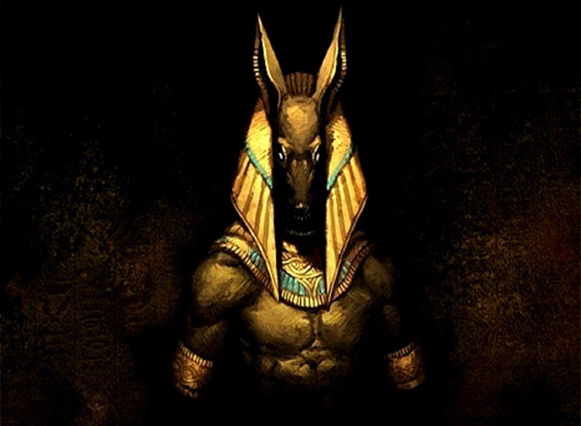 1177x864 Anubis Wallpaper. Free HD Wallpaper