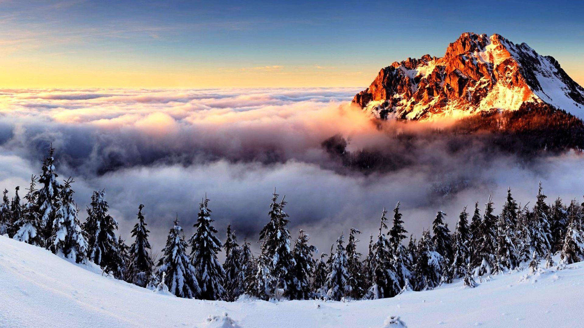 1920x1080 Mùa đông: Cây cối Mây Mặt trời mọc Sương mù Rừng núi Tuyết https://wallpaperaccess.com/full/298579.jpg