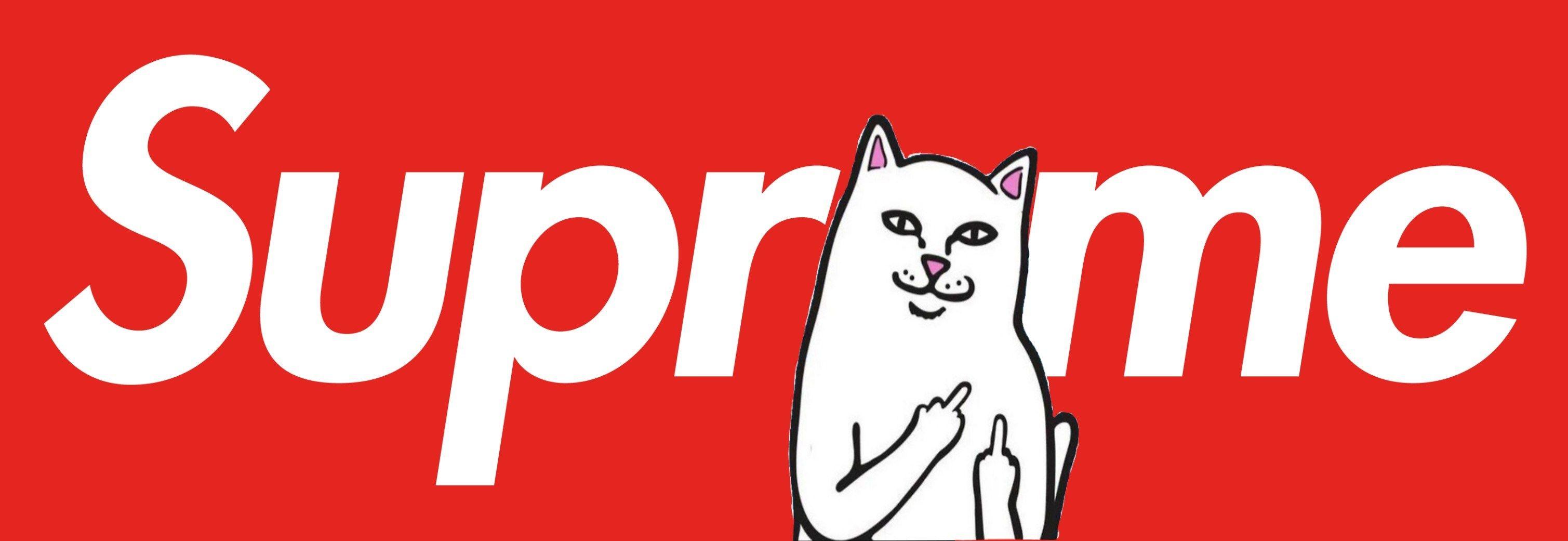 Supreme Cat Wallpapers  Wallpaper Cave