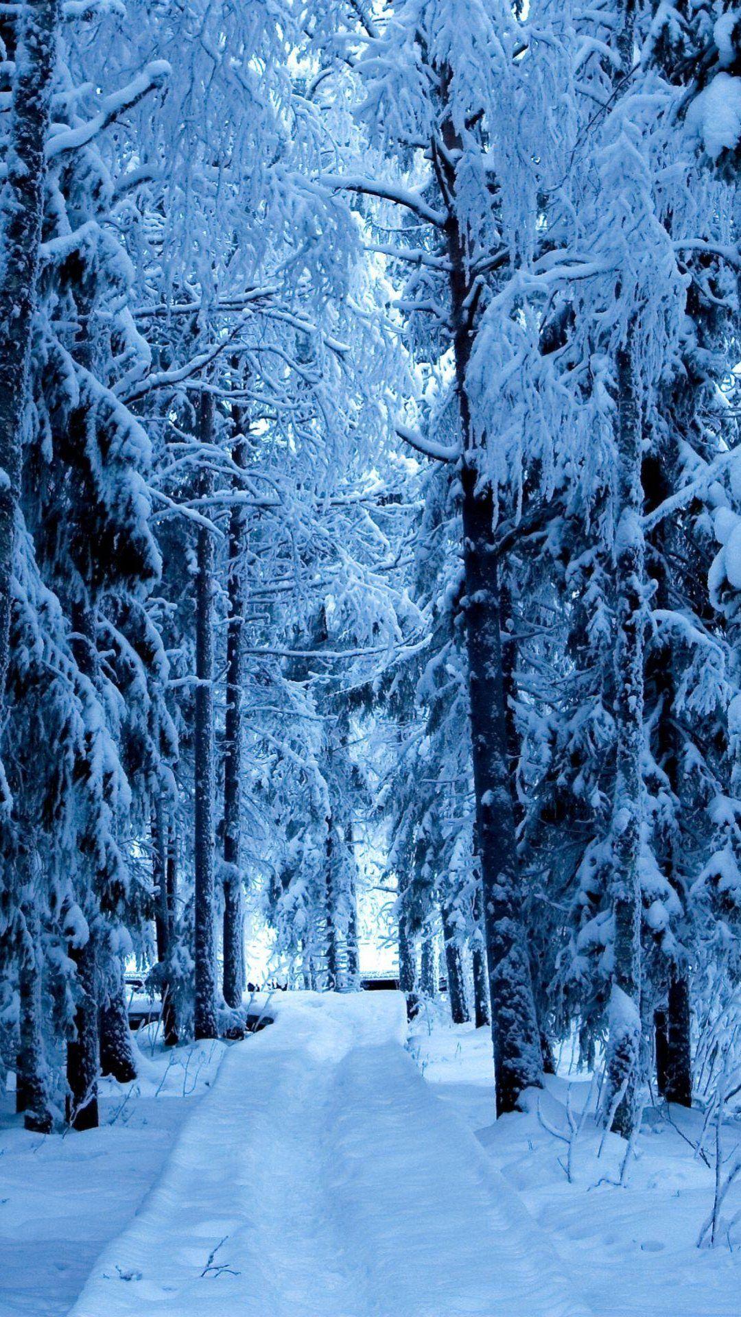 Tải xuống miễn phí Hình nền cho Android 1080x1920 Snow Forest Blue Ice https://wallpaperaccess.com/full/298601.jpg