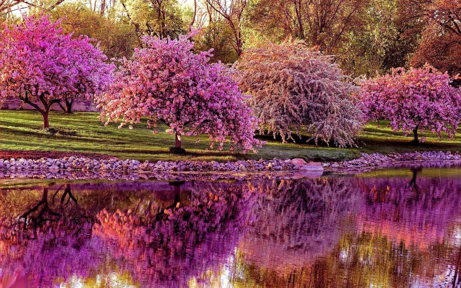 1920x1200 Country Spring Desktop Wallpaper