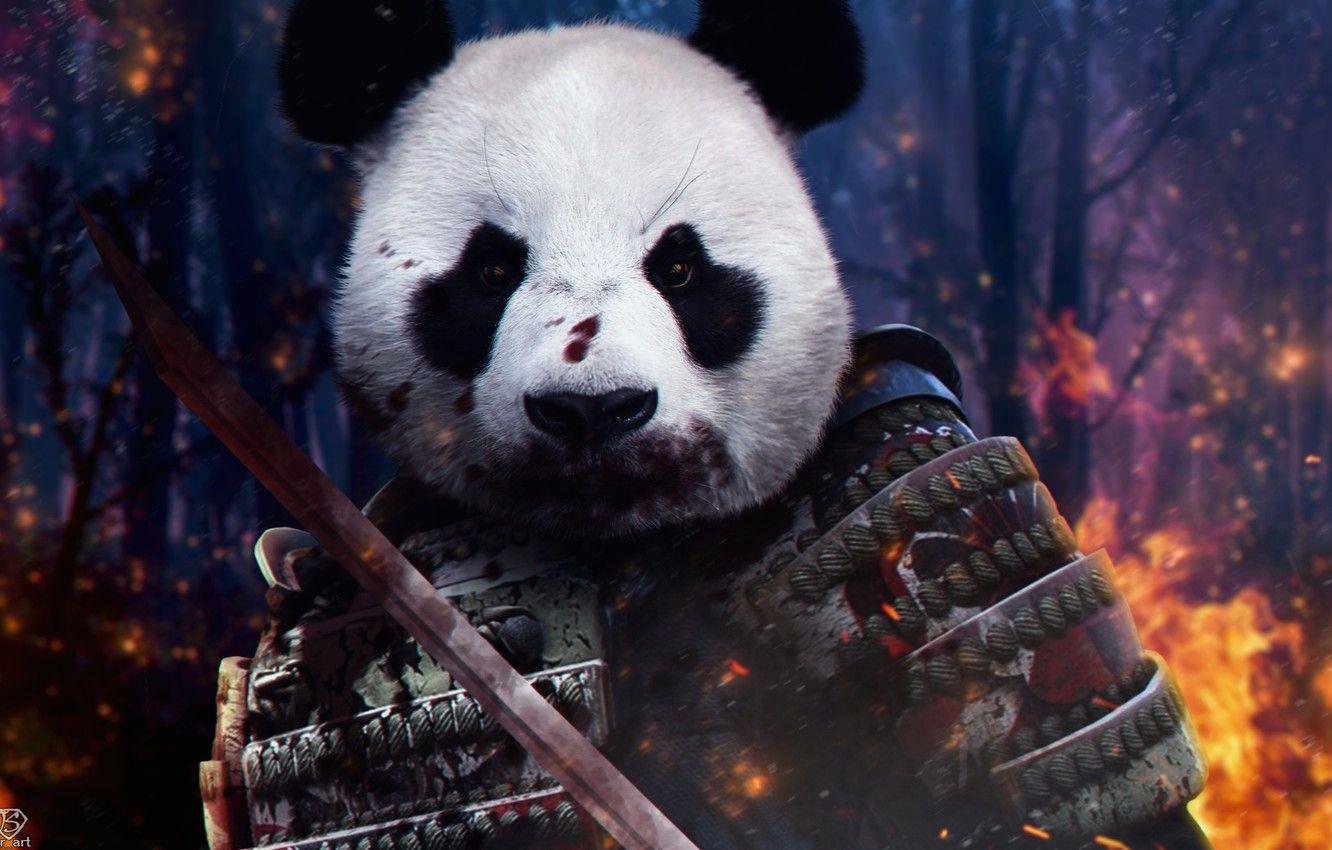 Samurai Panda Wallpapers - Top Free Samurai Panda Backgrounds -  WallpaperAccess