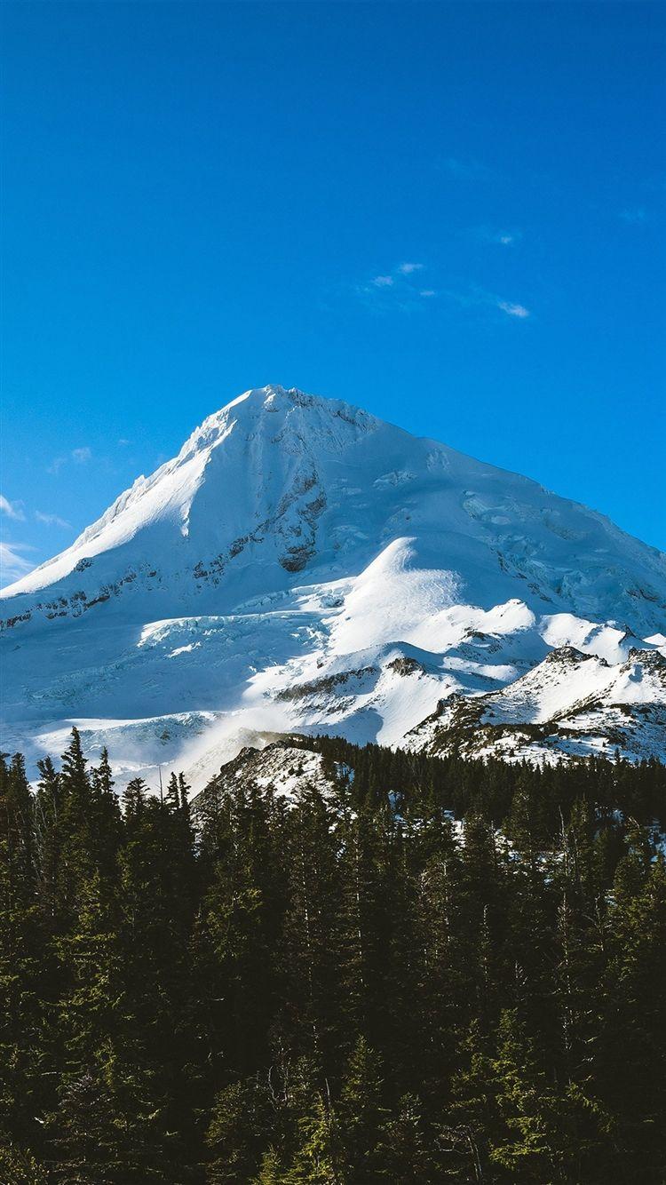 750x1334 Blue Sky Mountain Cool Snow Wood Forest Nature Winter iPhone 8