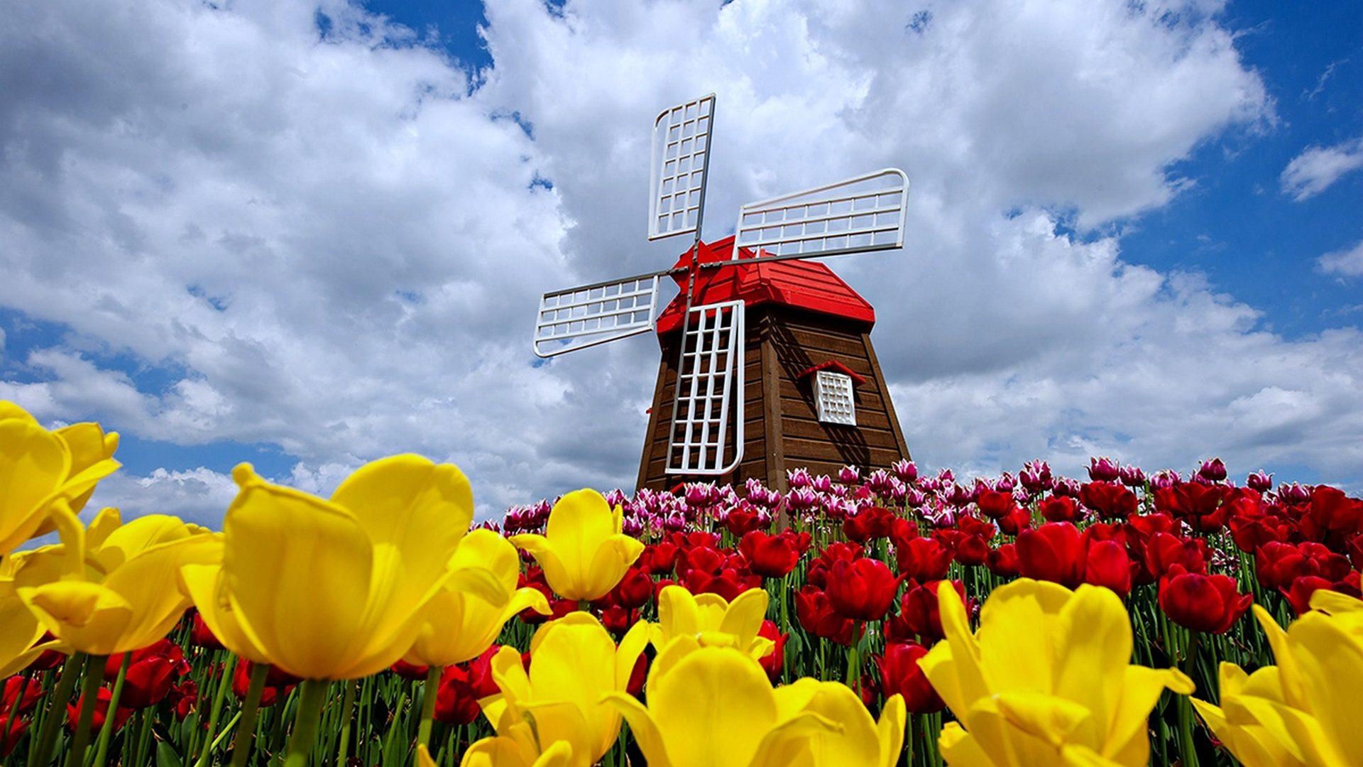 1920x1080 Country Spring Desktop Wallpaper