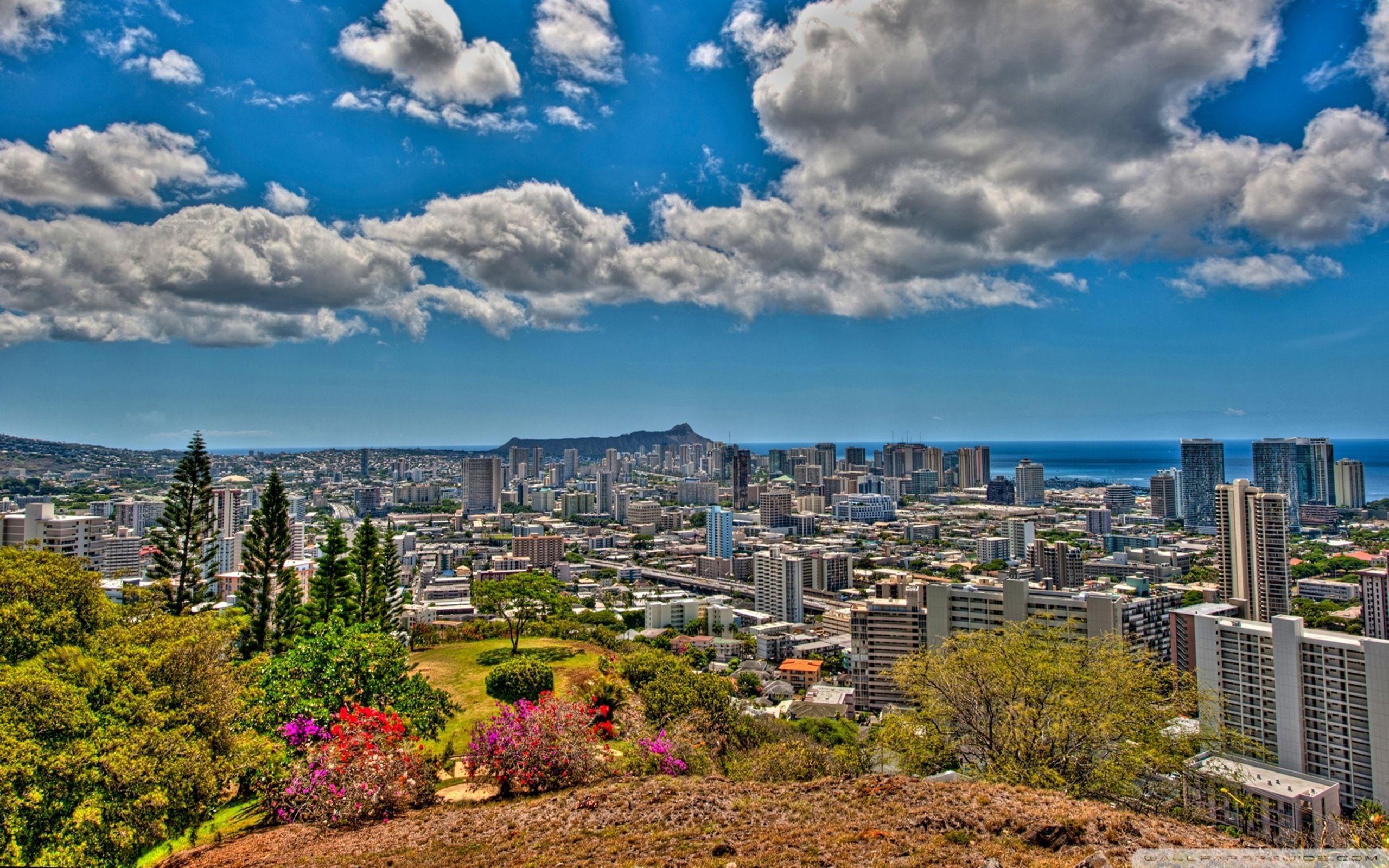 2560x1600 Free download Honolulu Wallpaper 7 2560 X 1600 stmednet 2560x1600