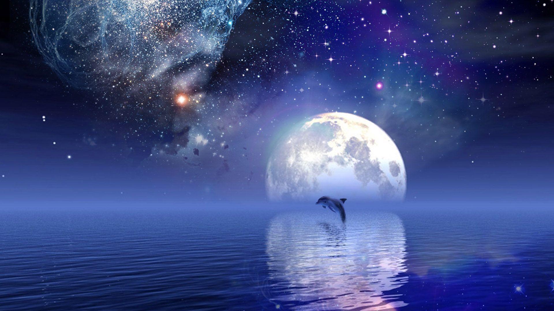 1920x1080 Dolphin Wallpaper, 37 Dolphin Background Collection for Mobile, D