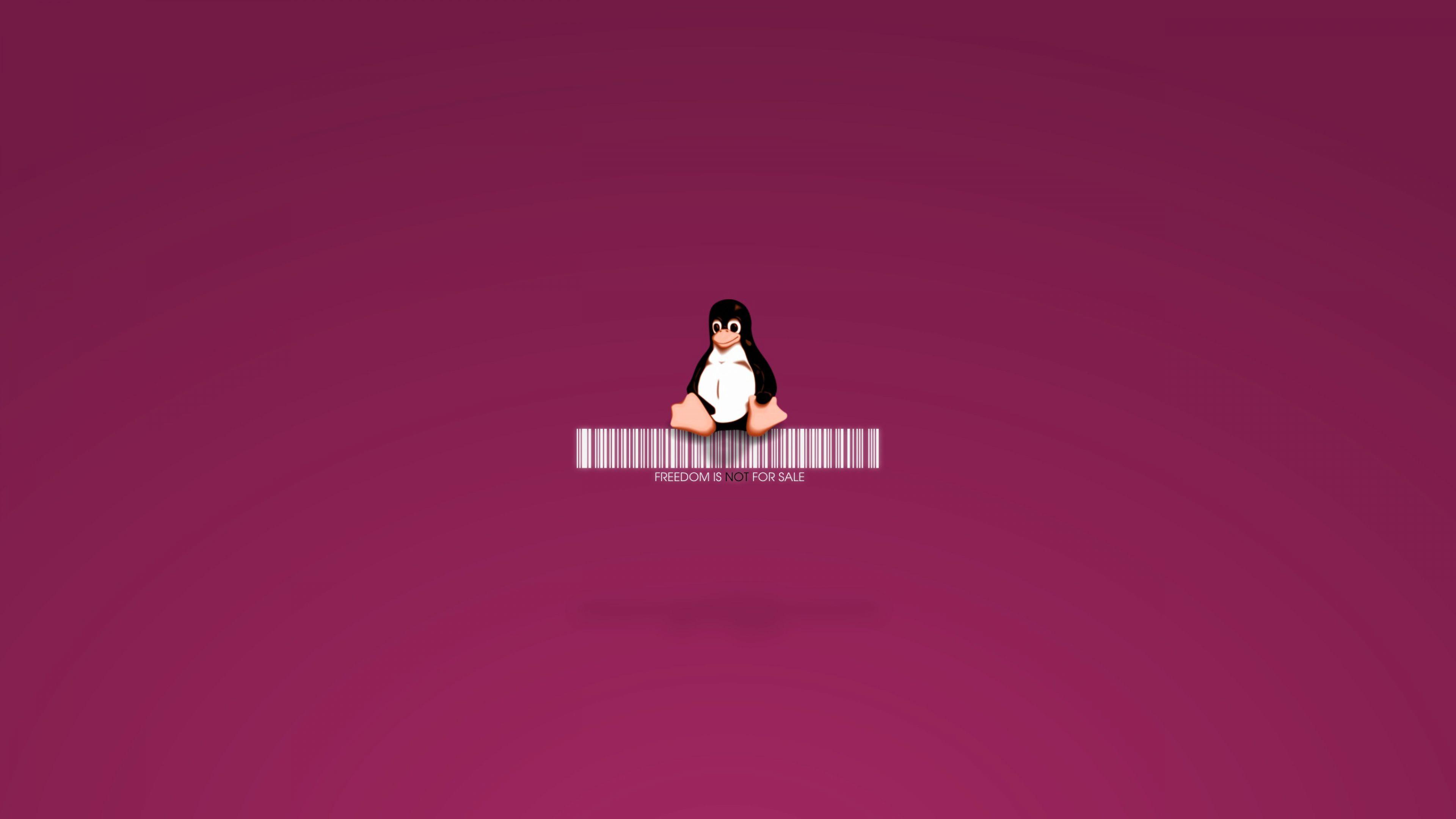 3840x2160 Linux Penguin, HD Computer, 4k Wallpaper, Image, Background, Photo and Picture