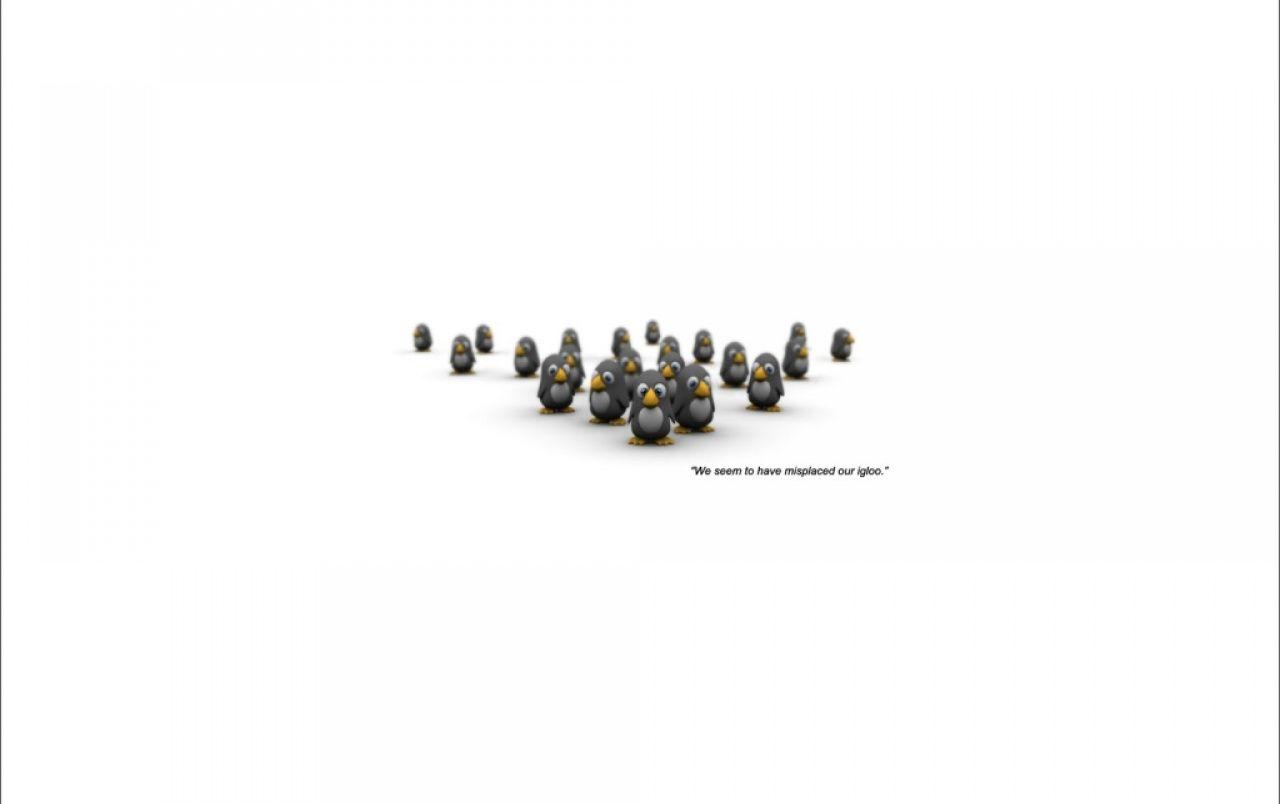1280x804 Bunch of penguins wallpaper. Bunch of penguins