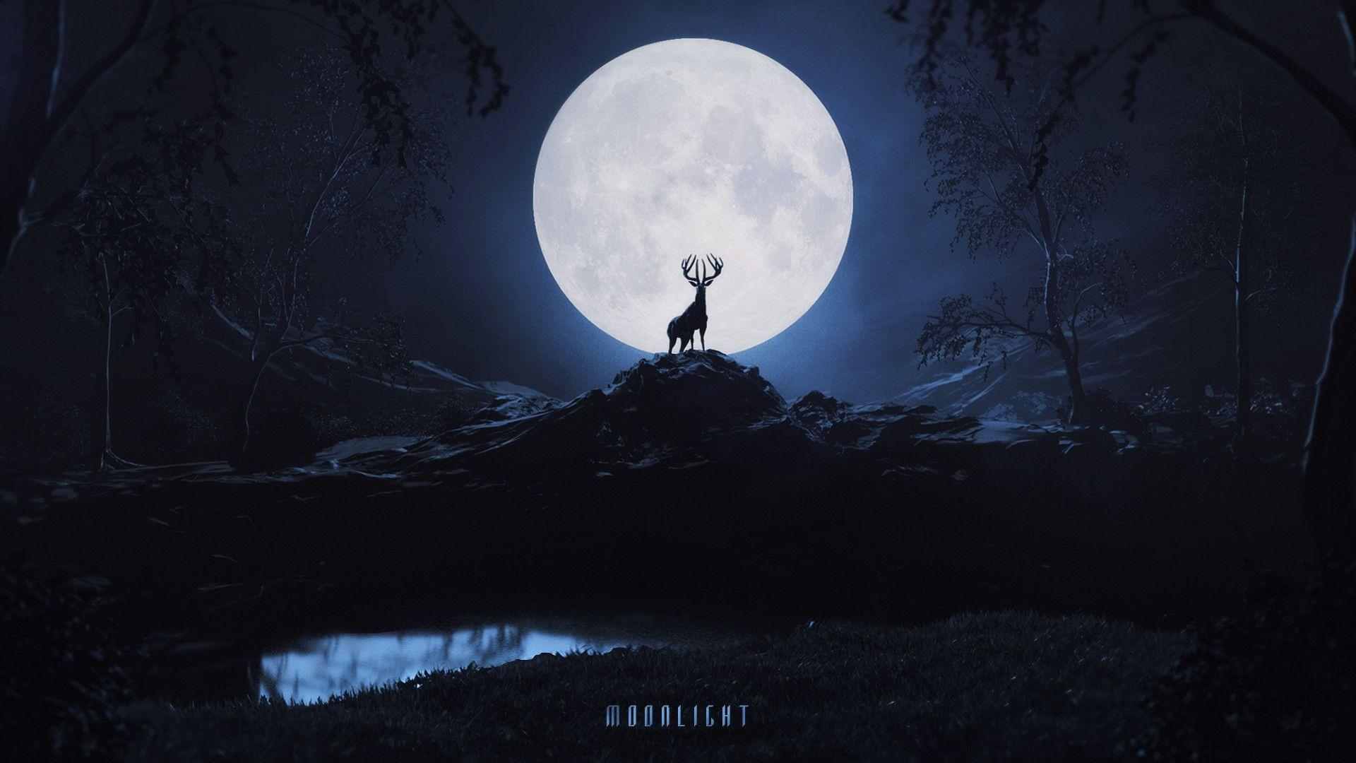 1920x1080 Moonlight Wallpaper