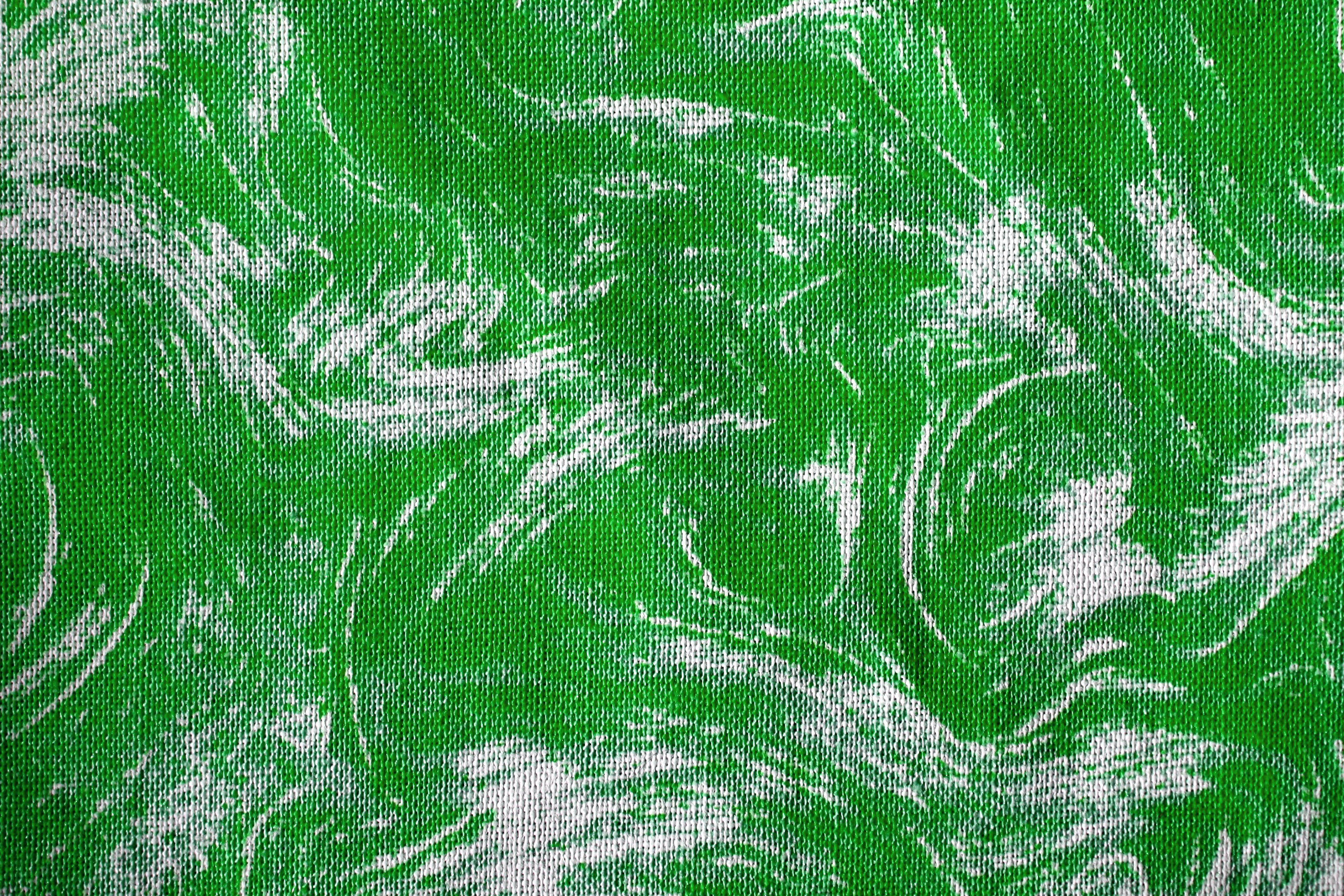 3600x2400 Fabric Texture with Kelly Green Swirl Pattern