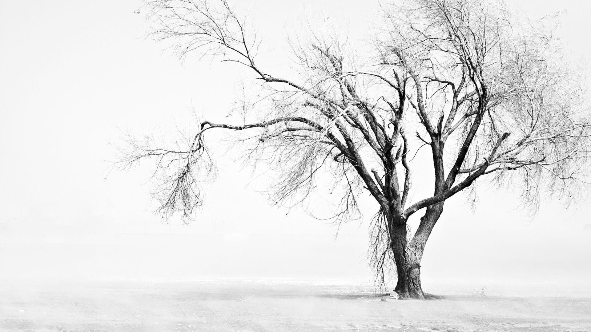 1920x1080 Black White HD Wallpaperx1080