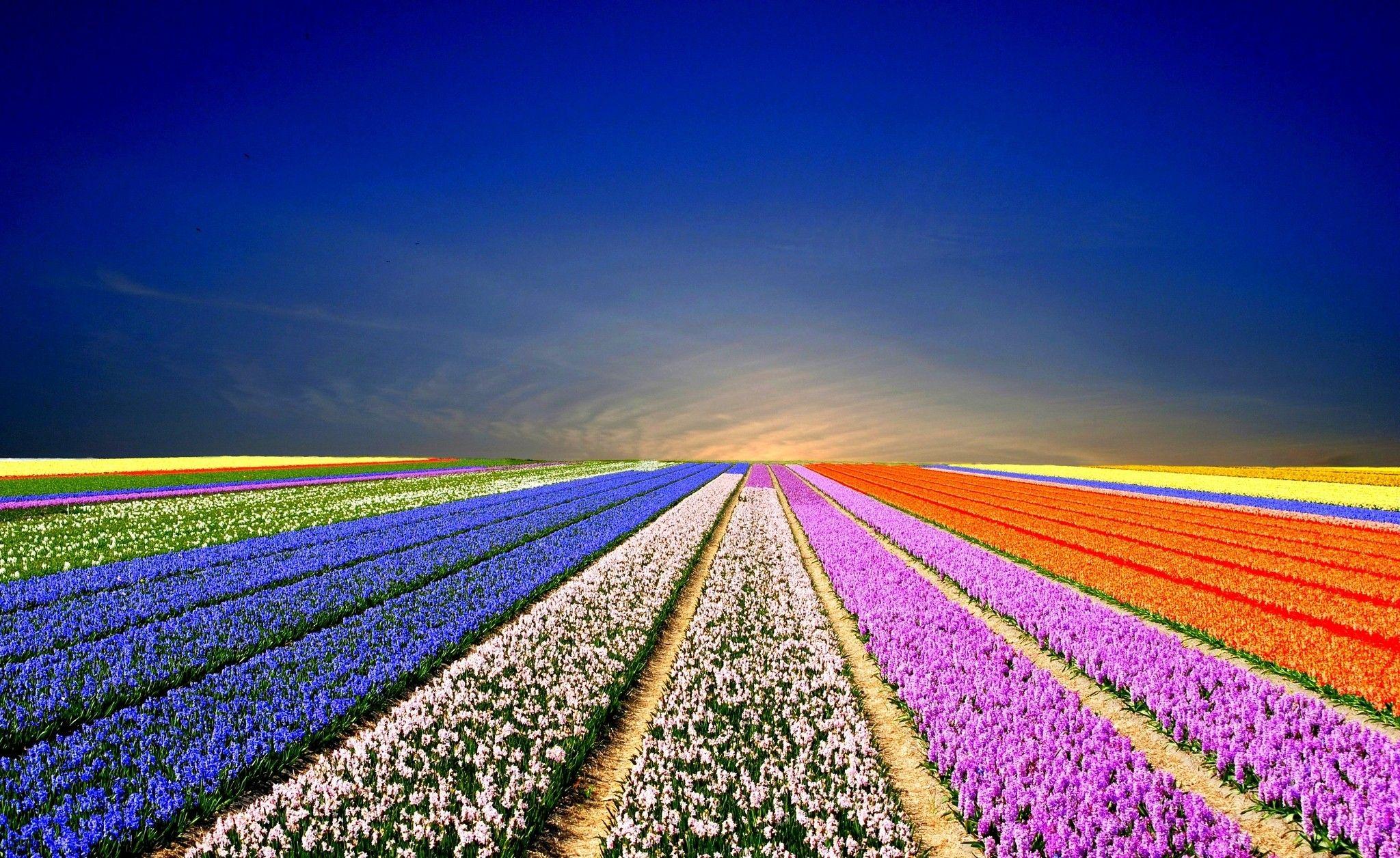 2048x1256 desktop wallpaper full screen amazing desktop wallpaper