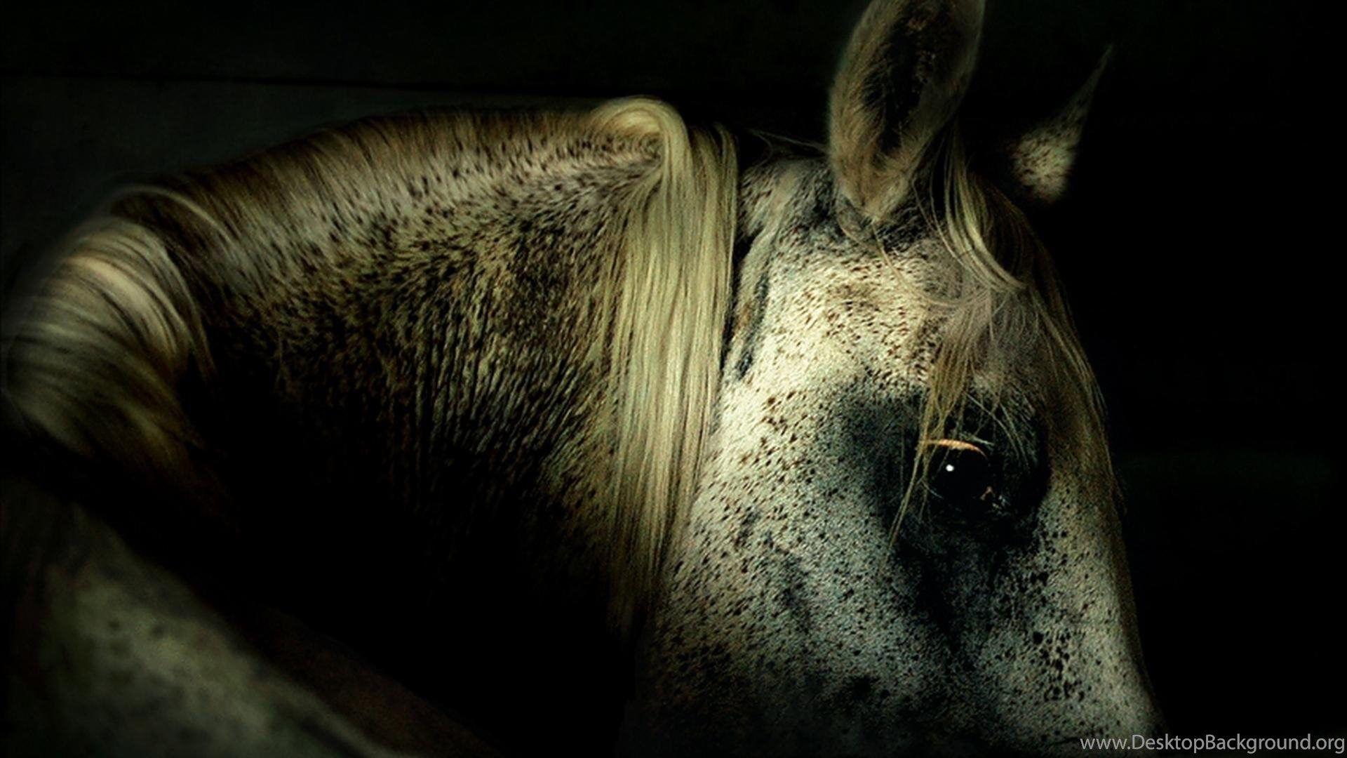1920x1080 Paint Horse Wallpaper, New Wallpaper, New Wallpaper Desktop