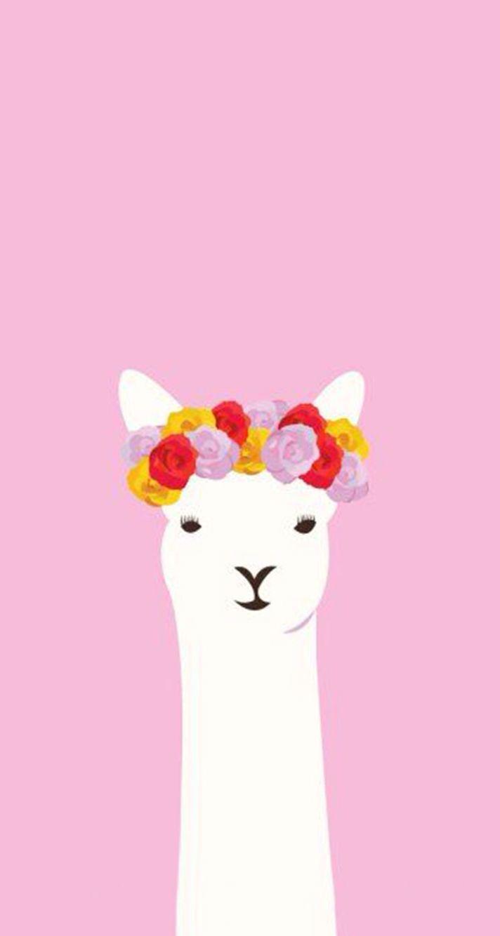 Cartoon Llamas Wallpapers - Top Những Hình Ảnh Đẹp
