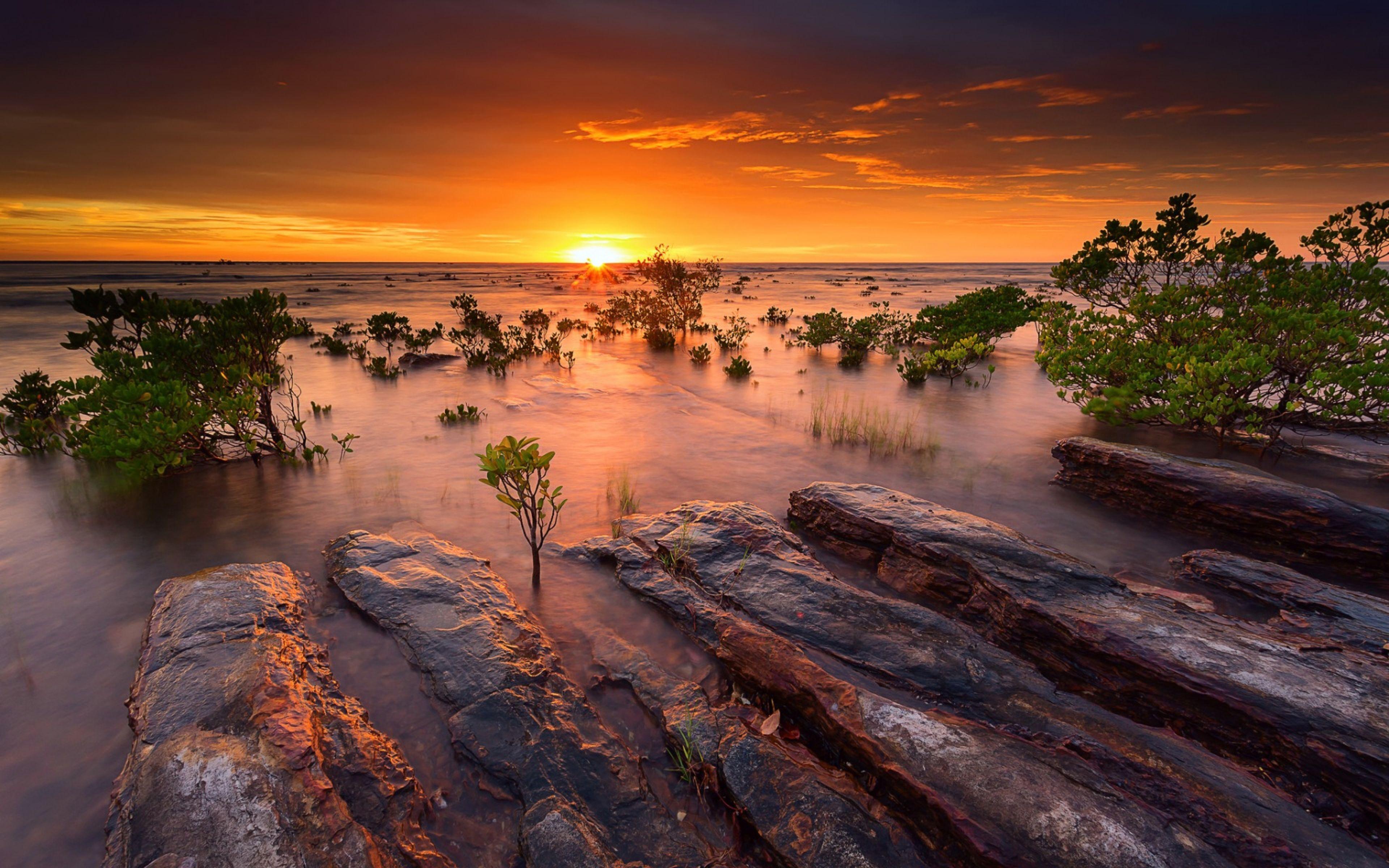 Природа австралии климат. Австралия природа. Тасмания Австралия. Австралия Эсперанс каньон.