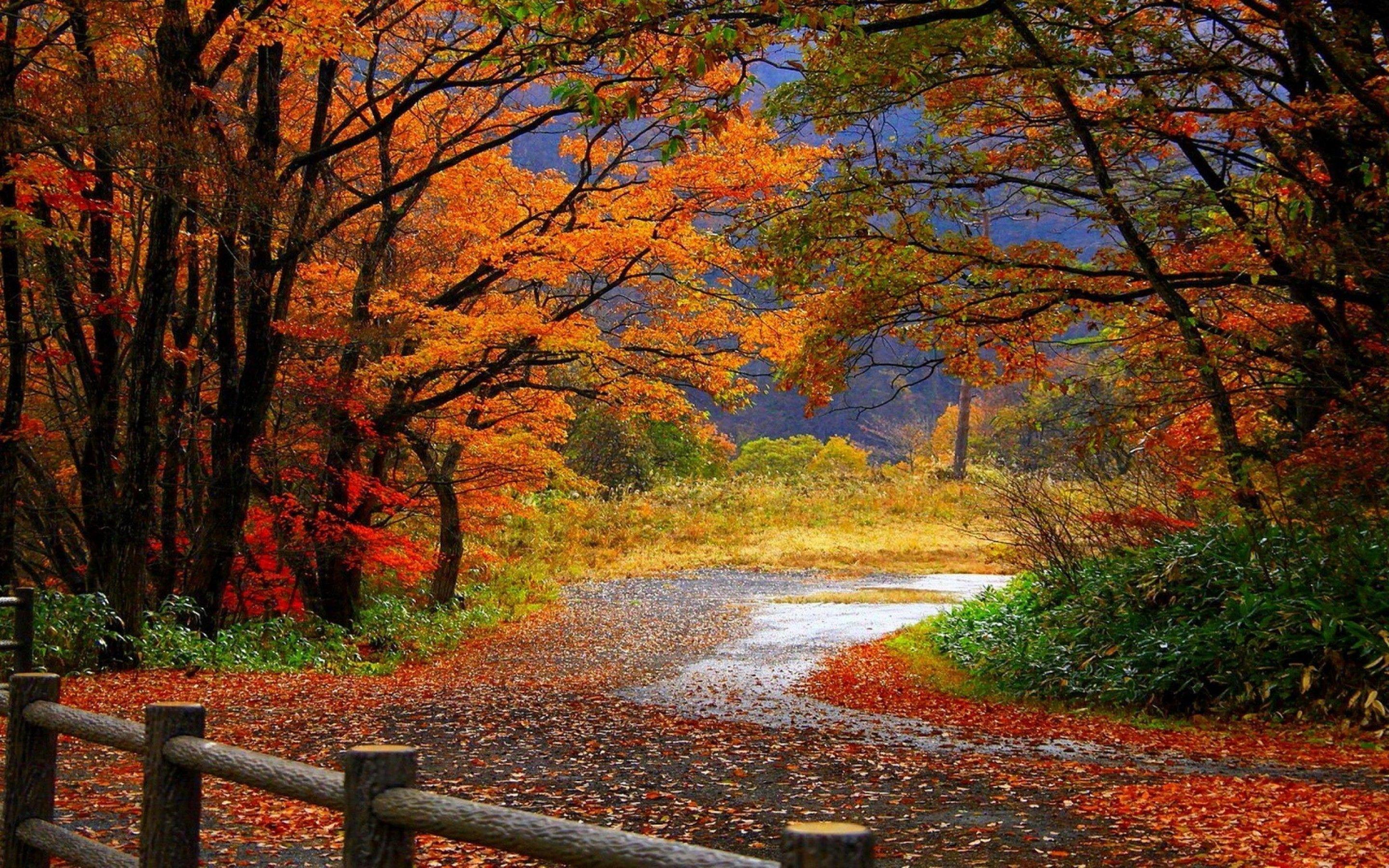 Colorful Landscape Wallpapers - Top Free Colorful Landscape Backgrounds ...