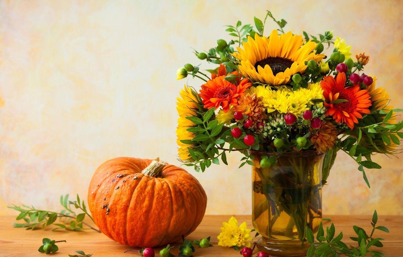 Pumpkin Sunflower Wallpapers - Top Free Pumpkin Sunflower Backgrounds