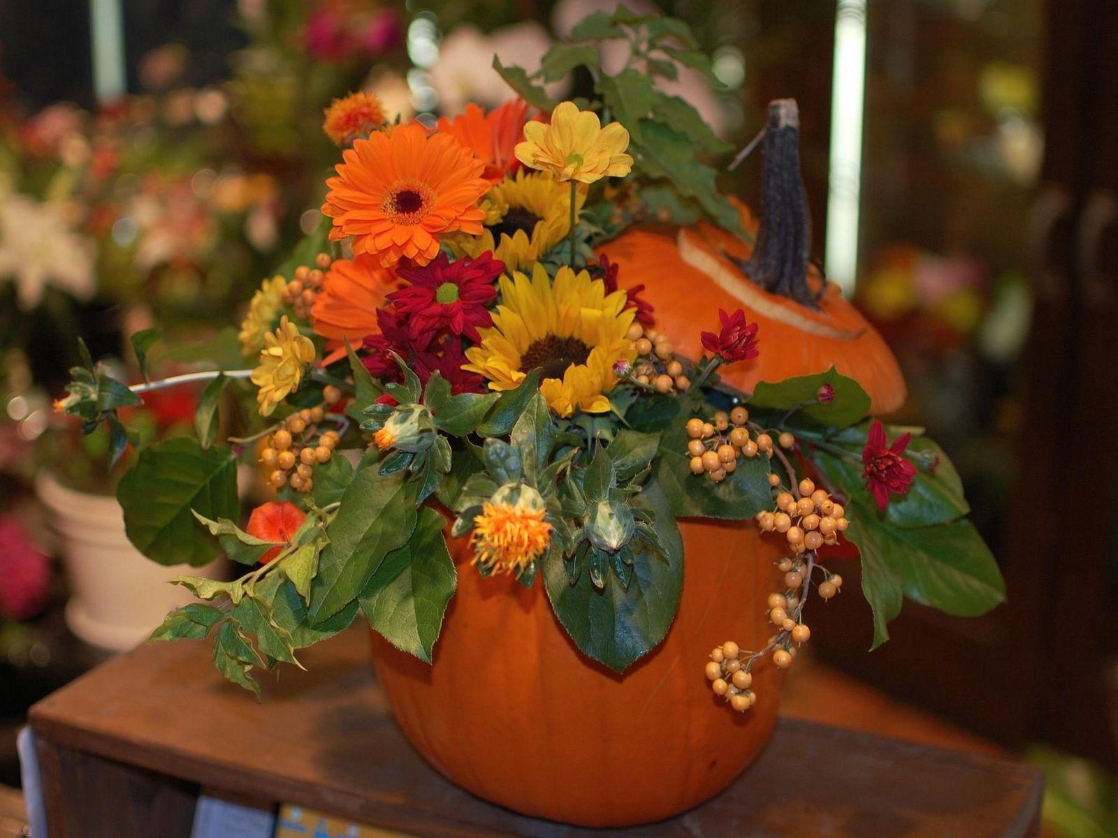 1600x1200 Download wallpaper 1600x1200 gerberas, sunflowers, flowers, berries, flower, pumpkin, composition standard 4:3 HD background