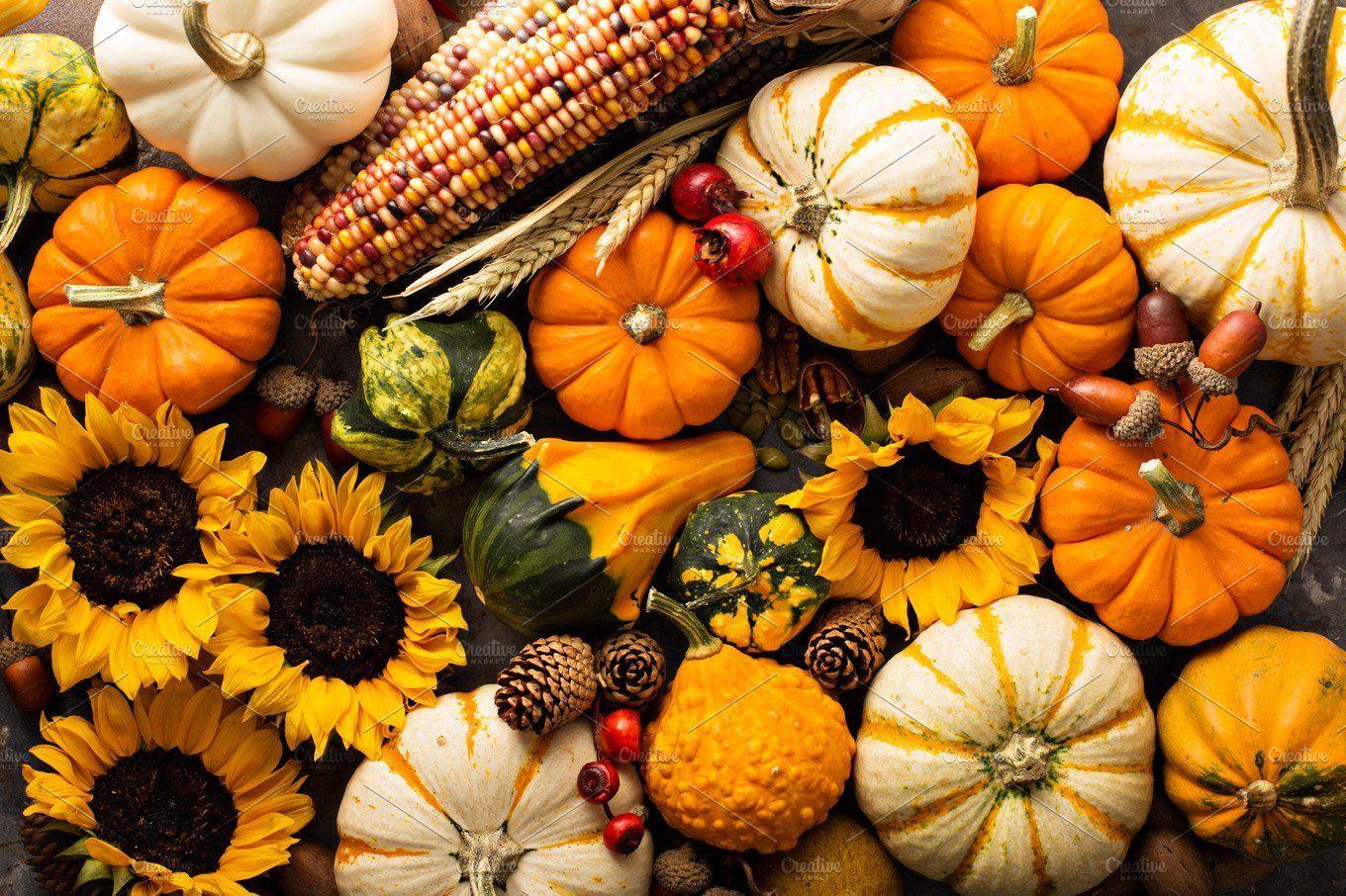 1360x906 Fall background with pumpkins. Fall background, Sunflowers background, Fall cover photo
